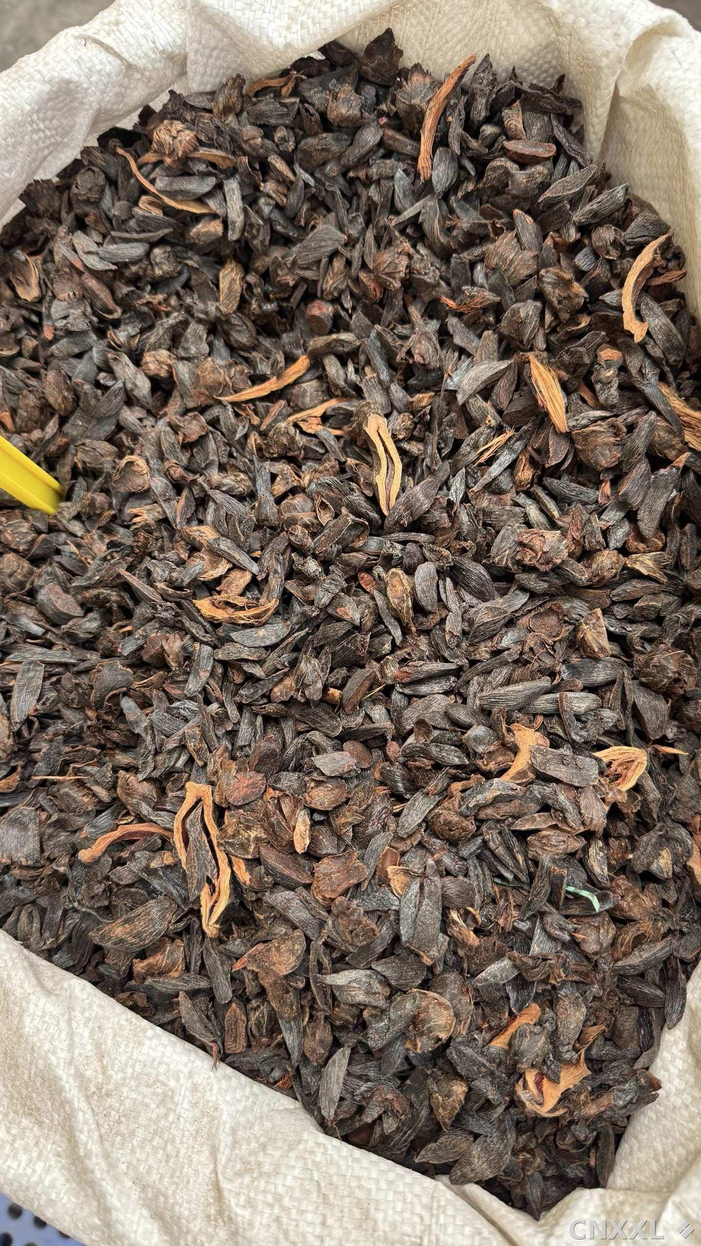 spice_11196_60819c0f_3.jpg