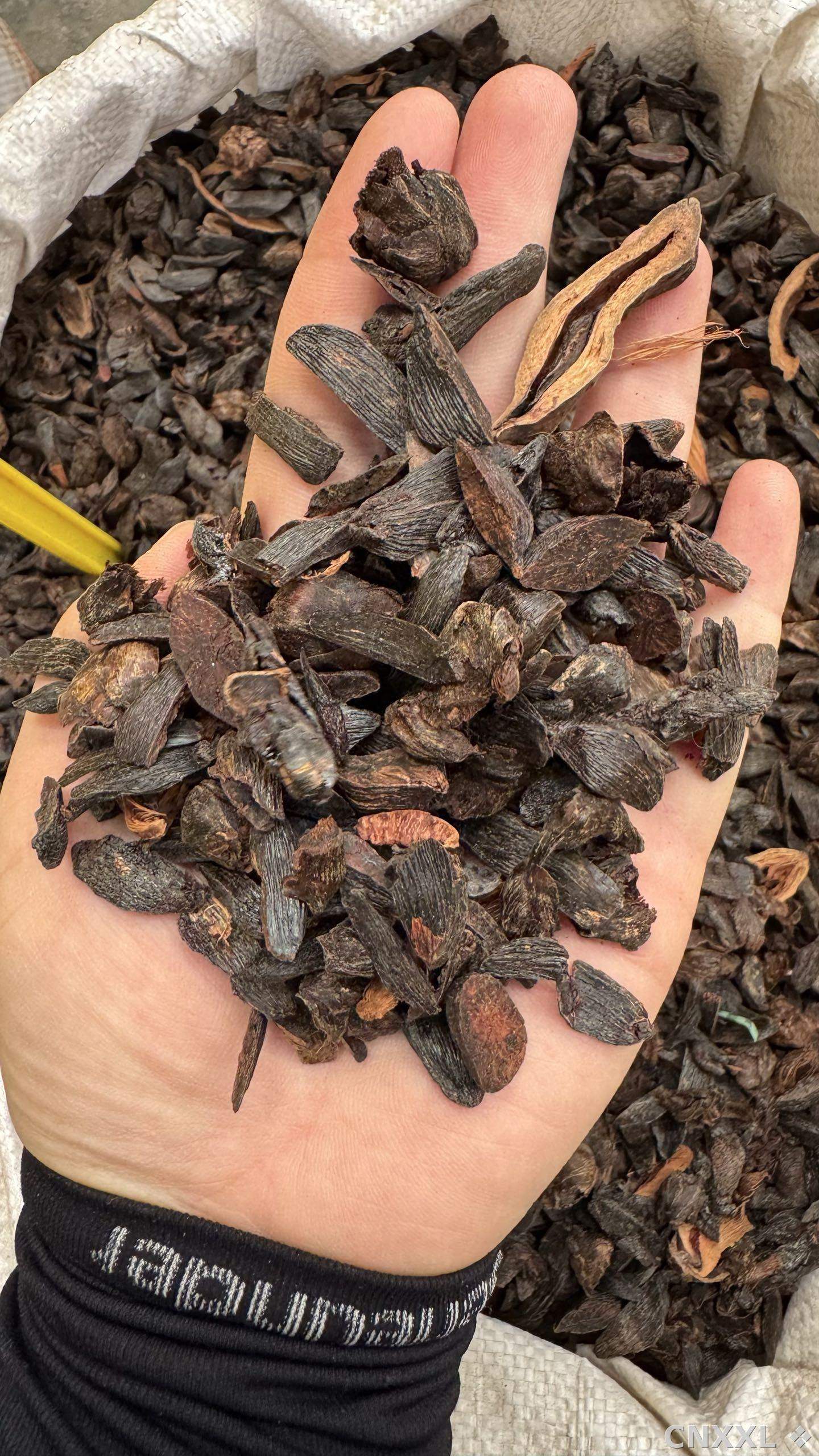 spice_11196_ce034e7f_1.jpg