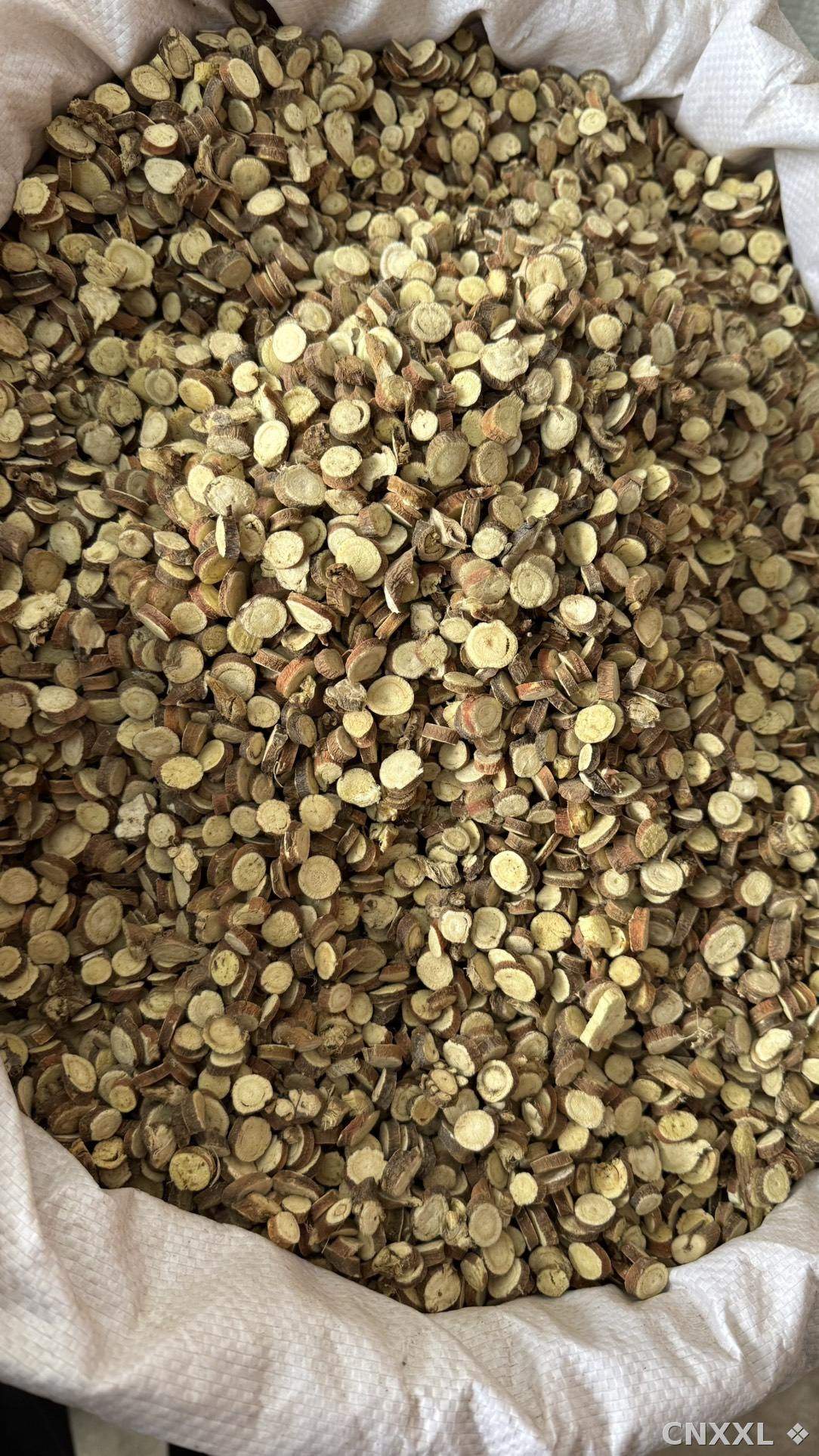 spice_11236_17a3511d_3.jpg