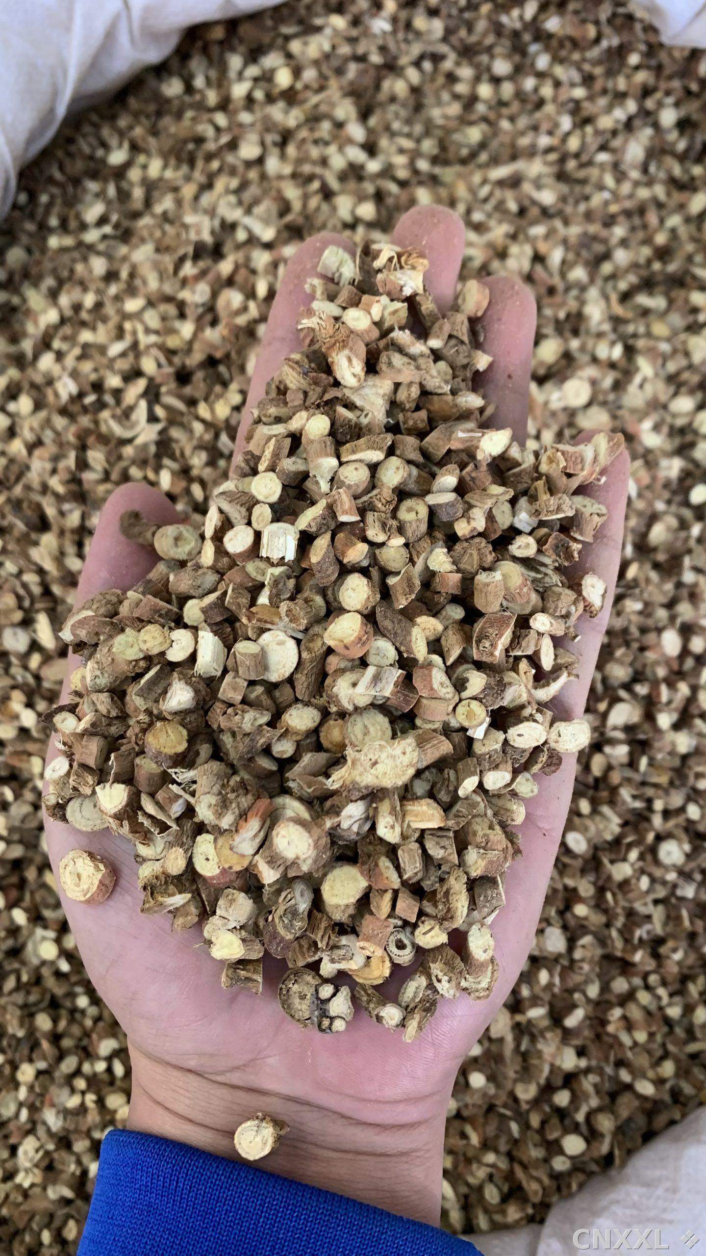 spice_11246_6cc6648b_2.jpg