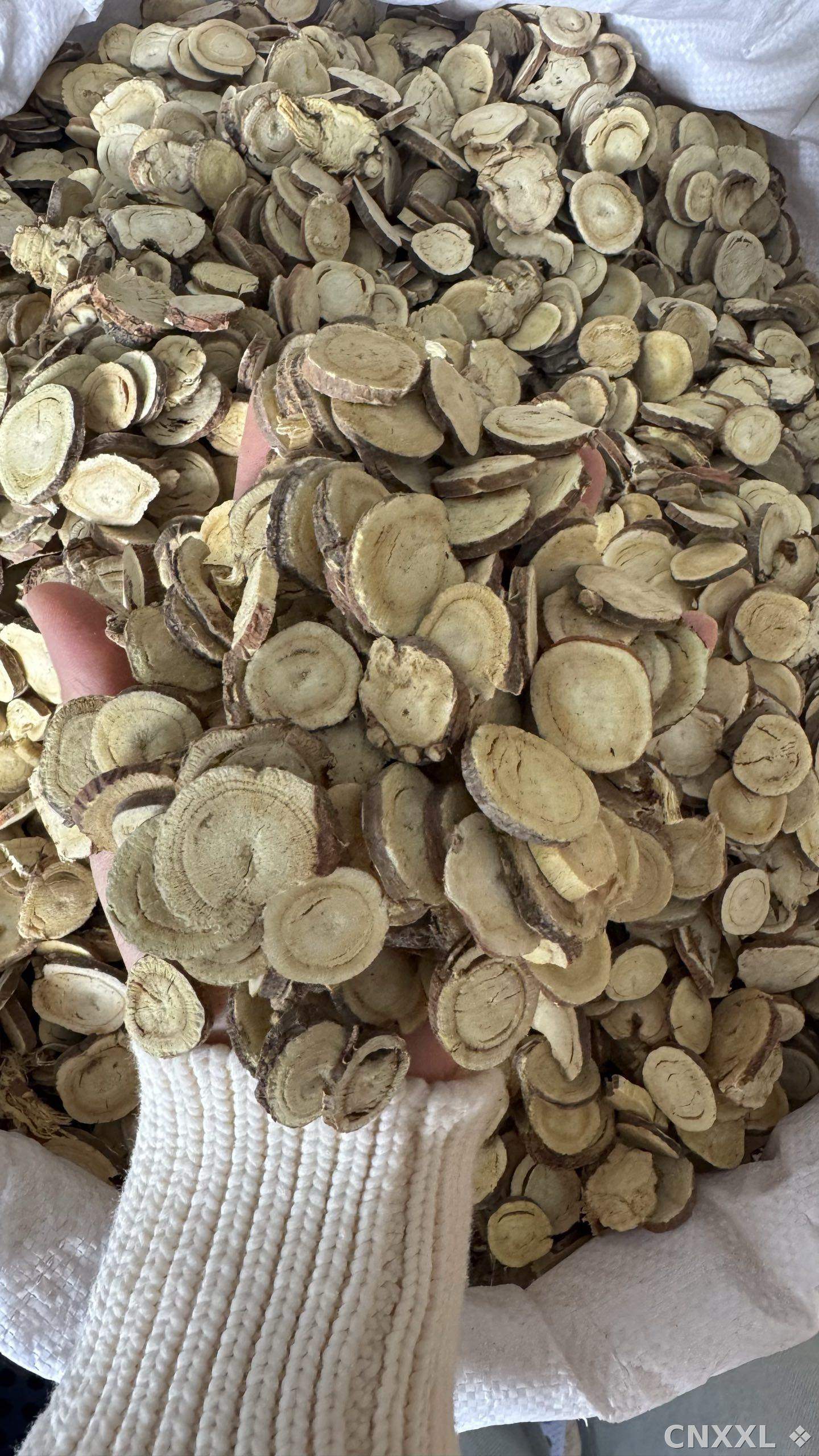 spice_11248_d90dd2ee_1.jpg