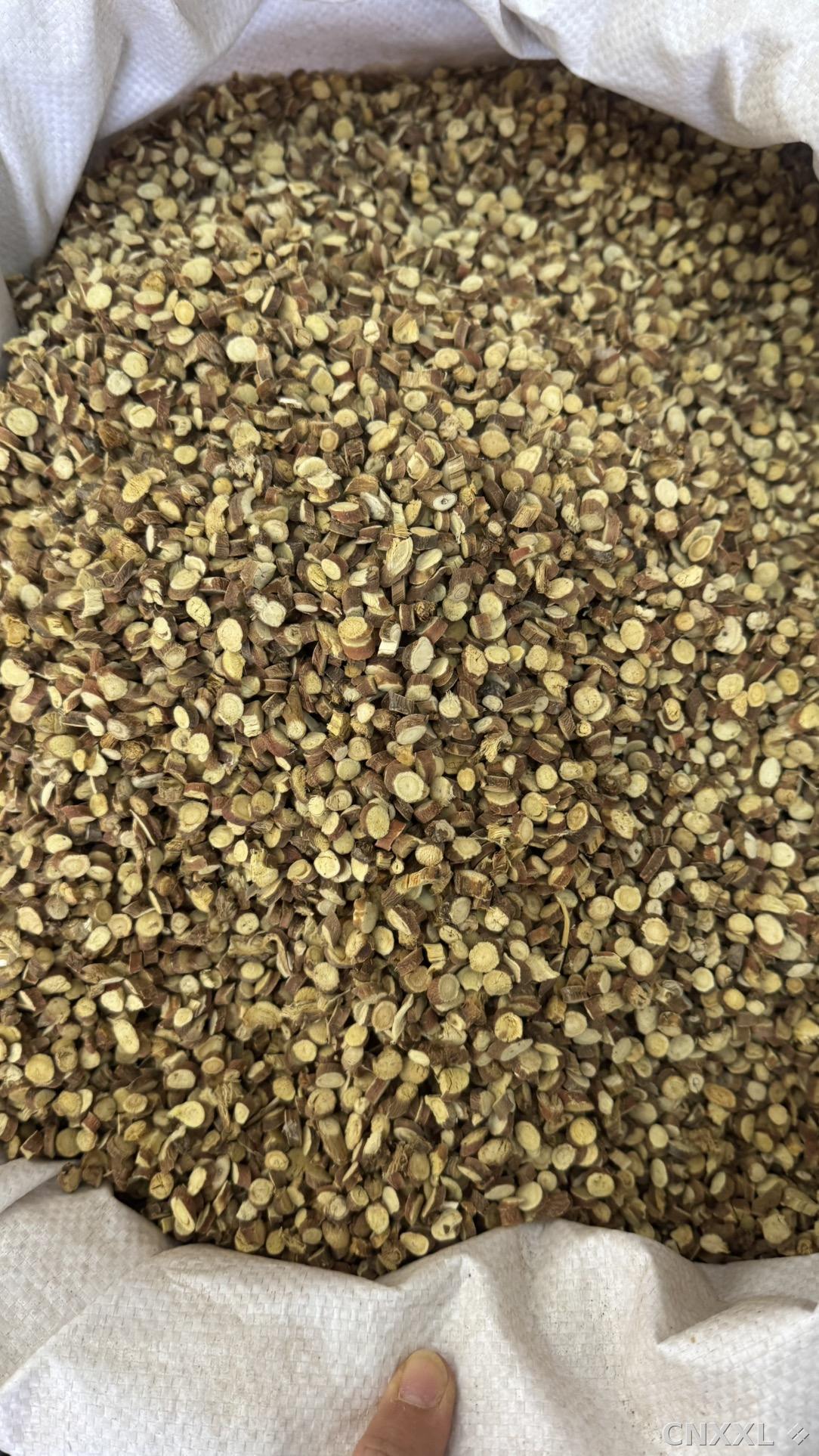 spice_11251_31228ea3_3.jpg