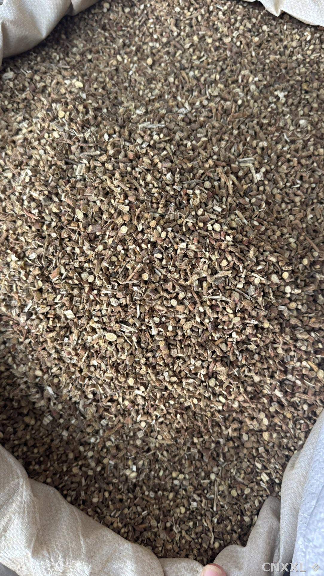 spice_11252_b09ea7a1_3.jpg