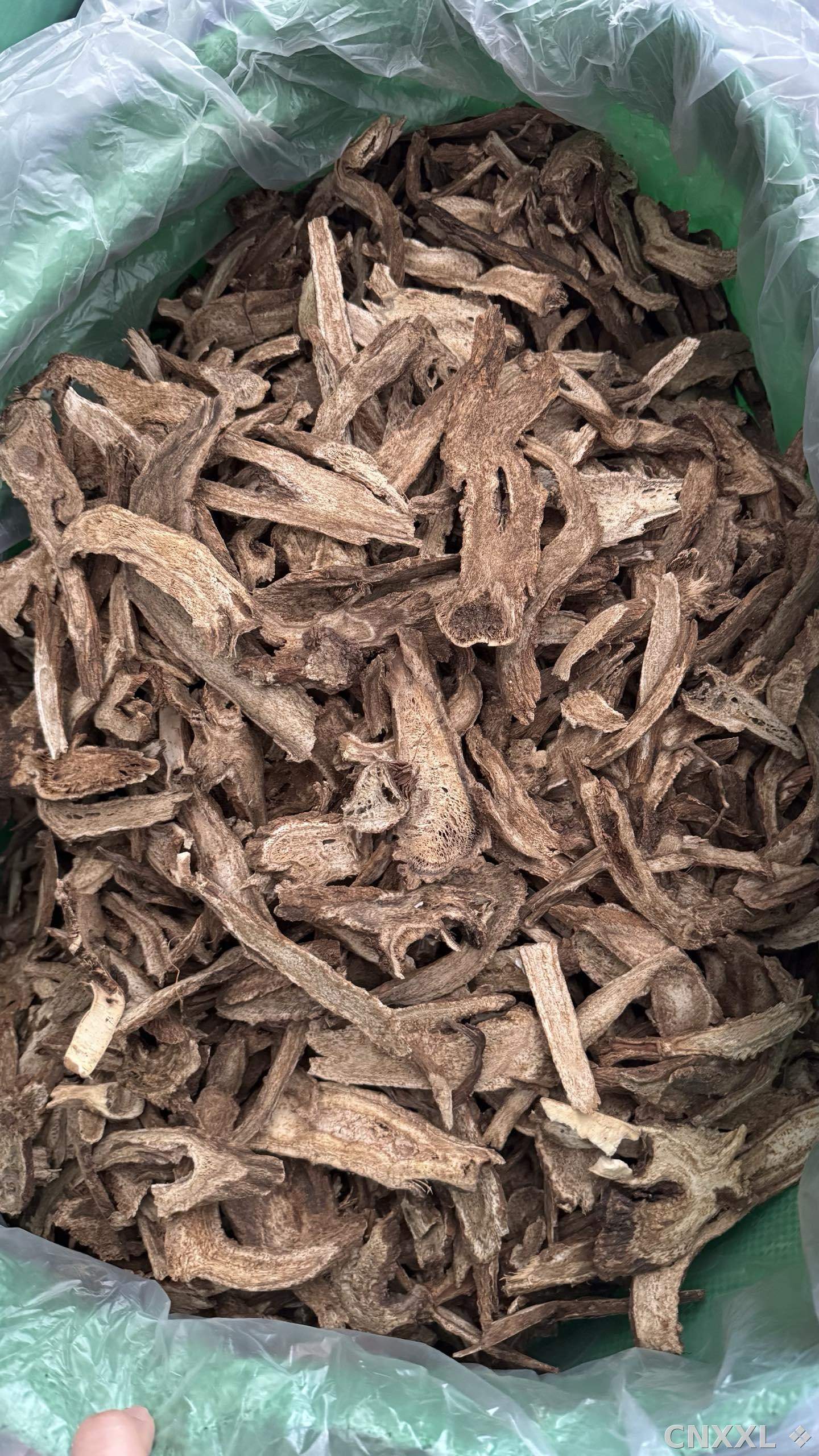 spice_11262_4f970871_2.jpg