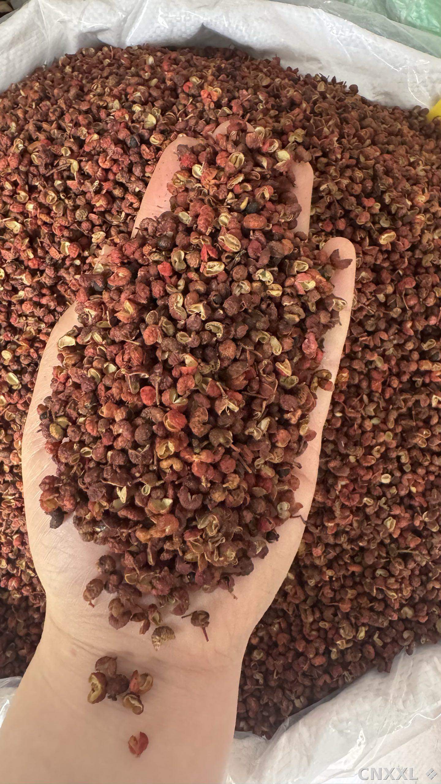 spice_11269_4d653166_2.jpg