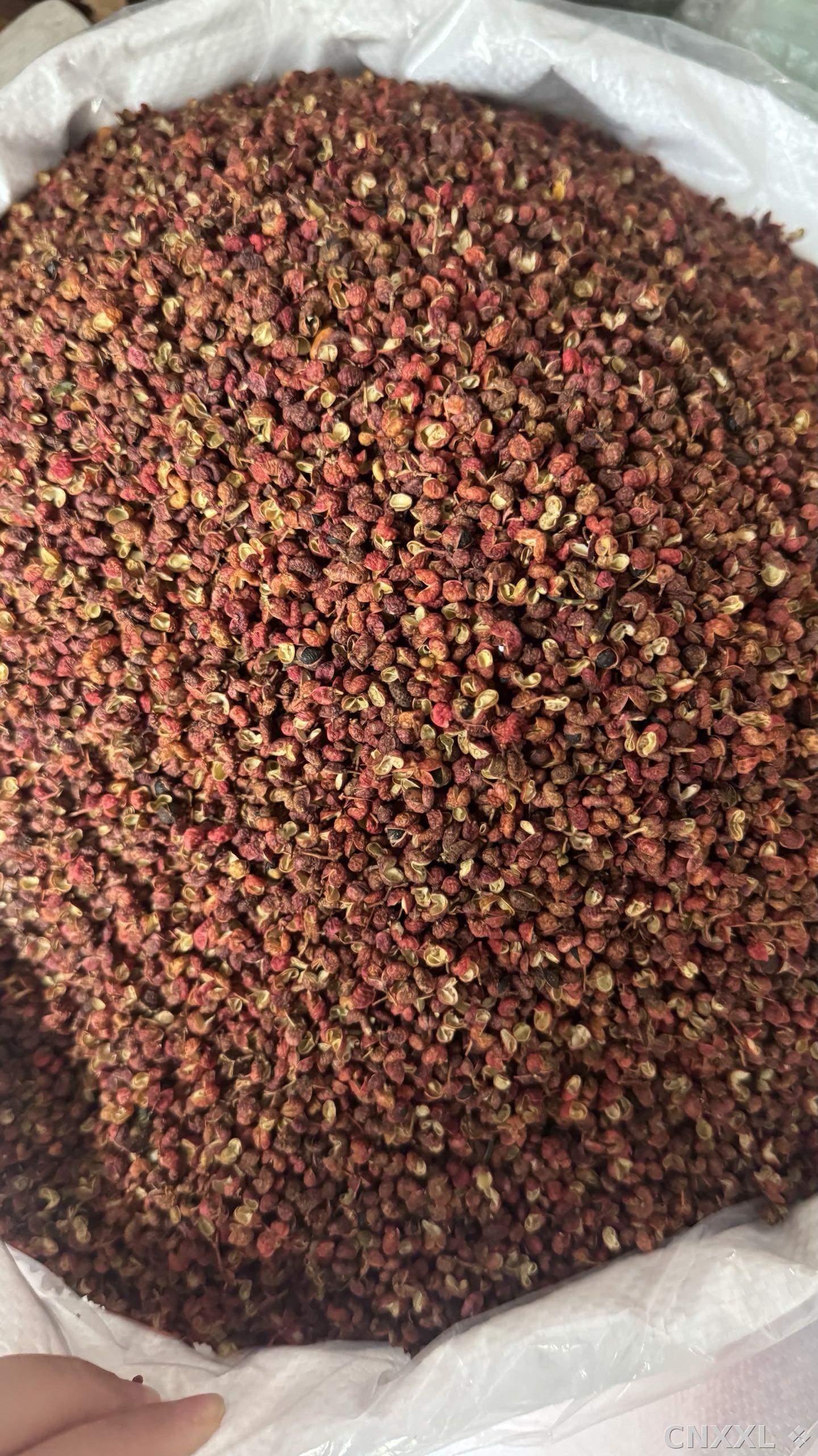 spice_11269_f60ba2f8_3.jpg