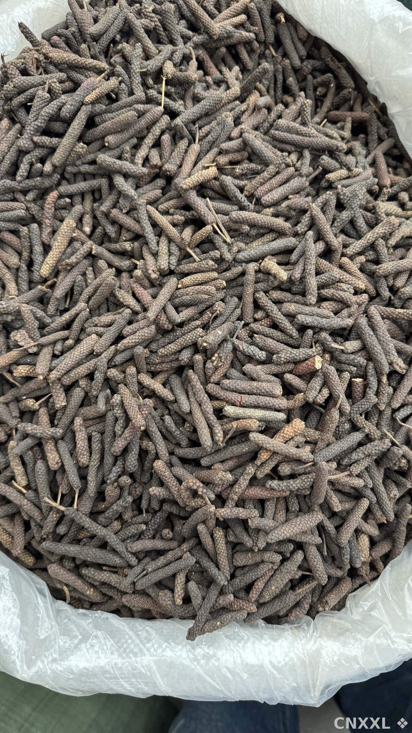 spice_11285_0e6e593f_3.jpg