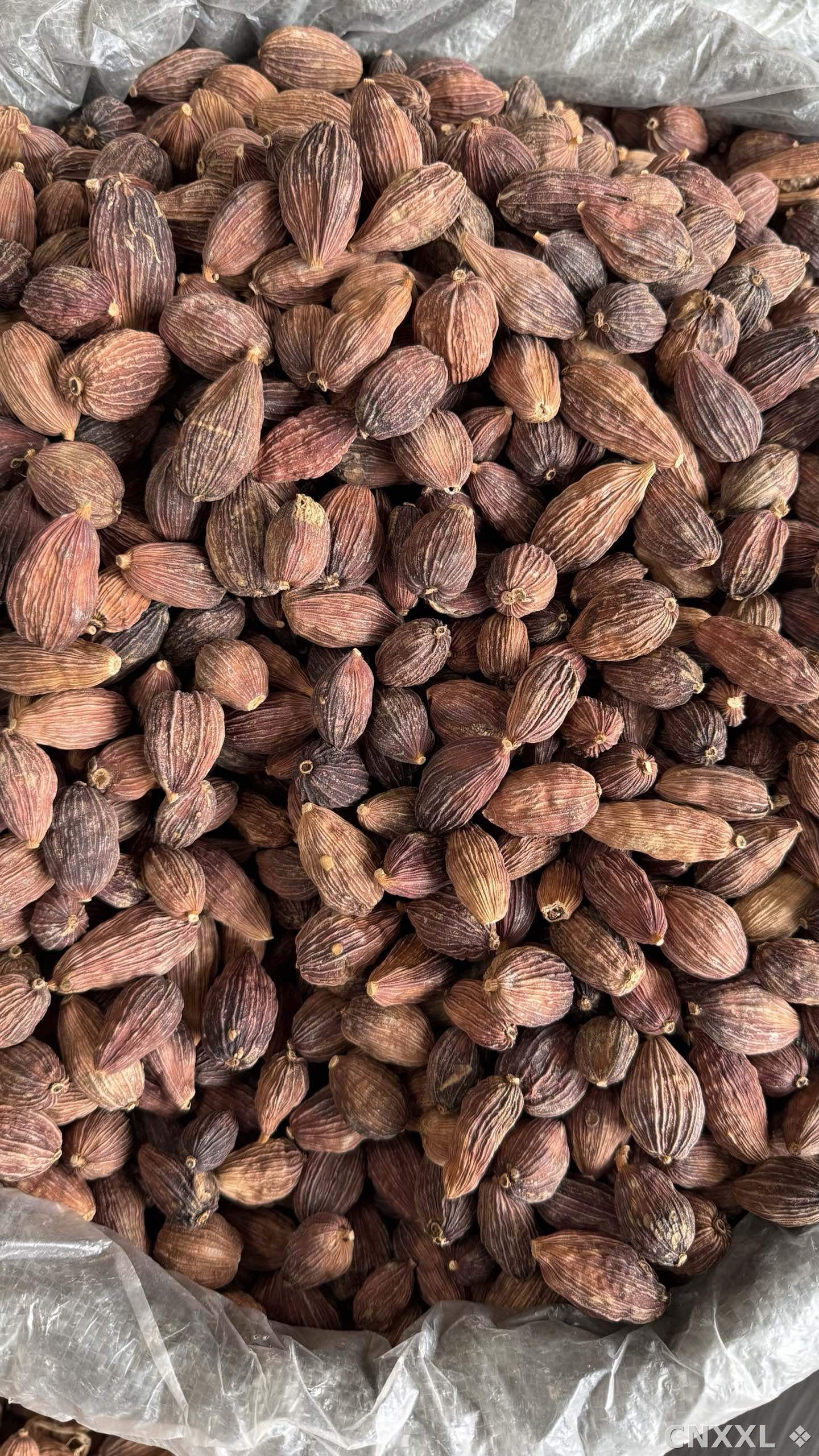 spice_11319_25a6c1e2_3.jpg