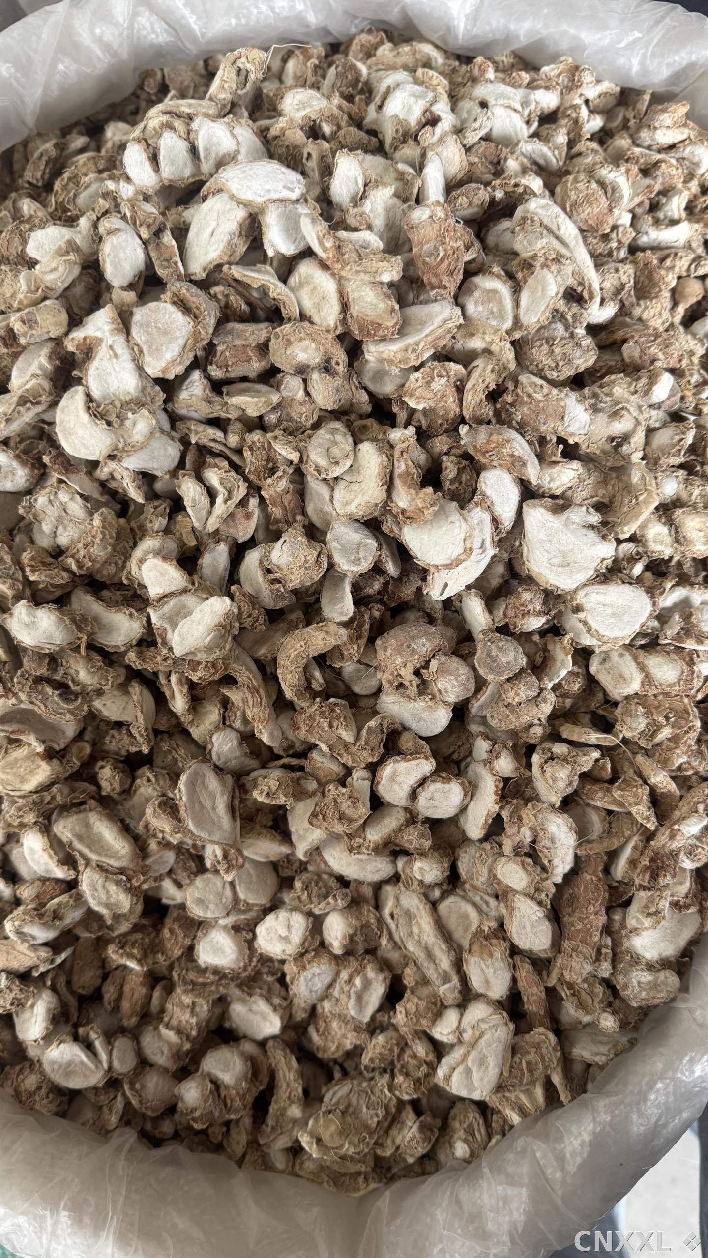 spice_11322_879447af_3.jpg
