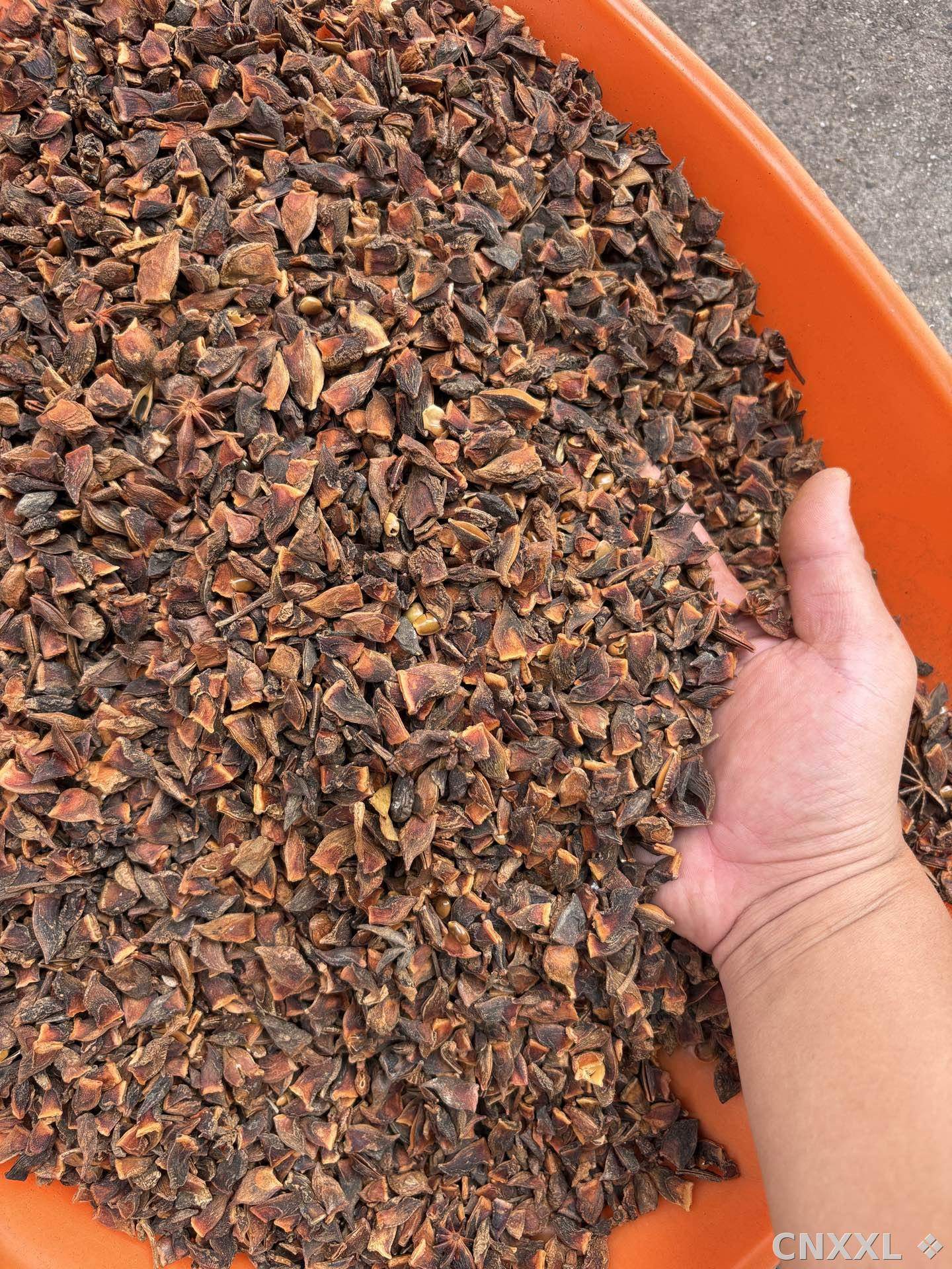 spice_1152283_dcd2f46a_3.jpg