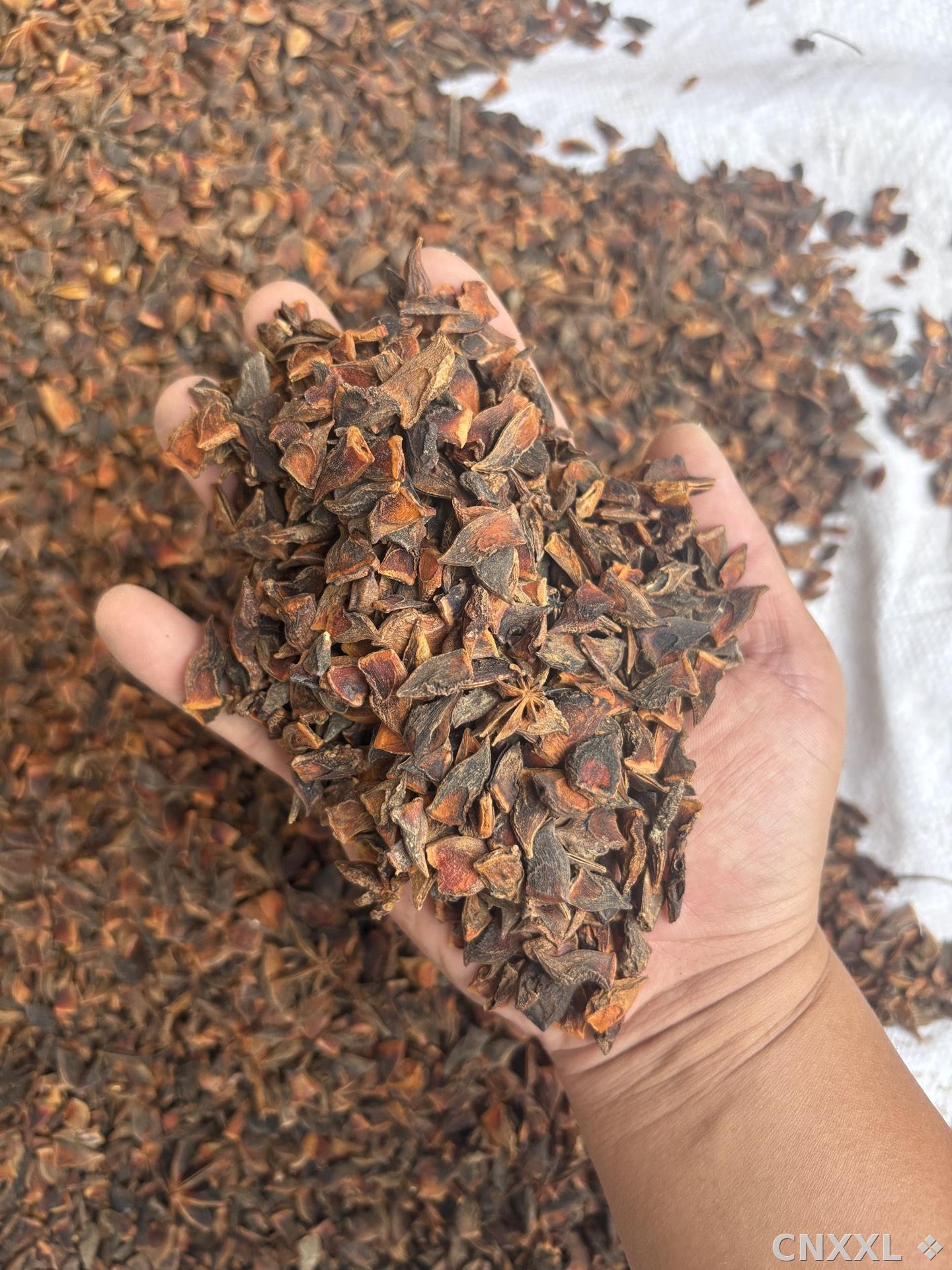 spice_11762_9cbdcba6_1.jpg