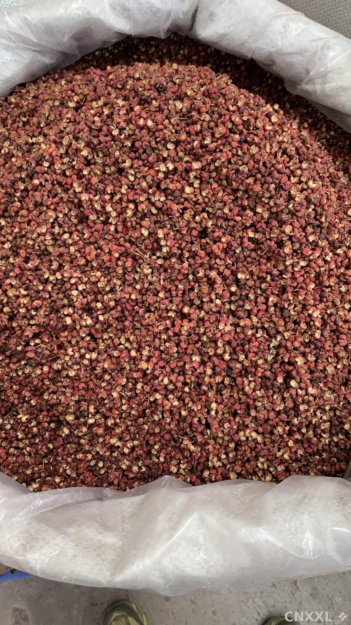 spice_11889_8c45a81d_2.jpg