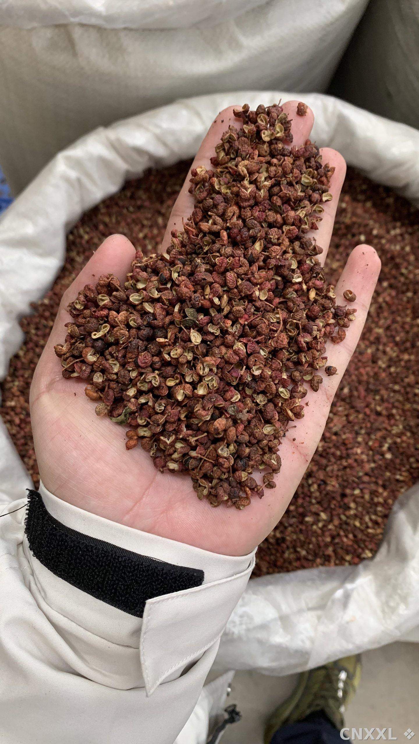 spice_11890_7f8850fb_1.jpg