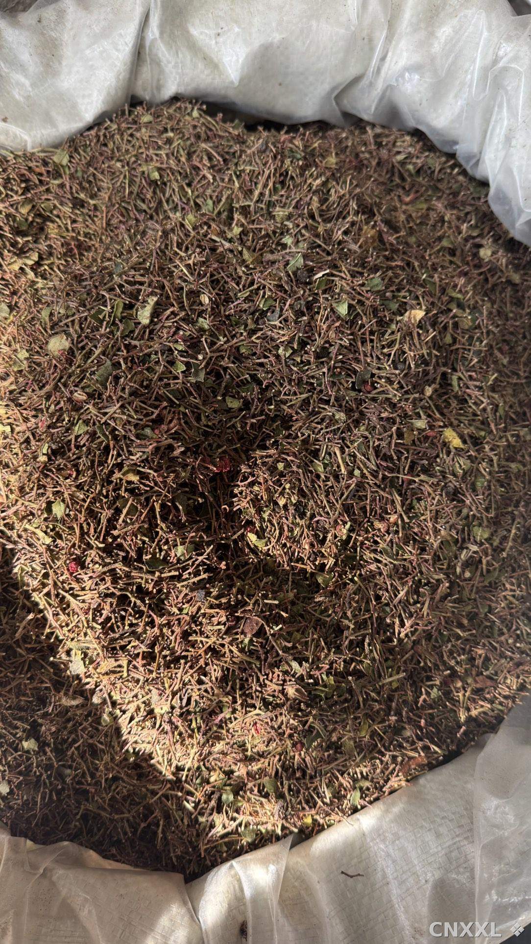 spice_11892_d5f6d7aa_3.jpg