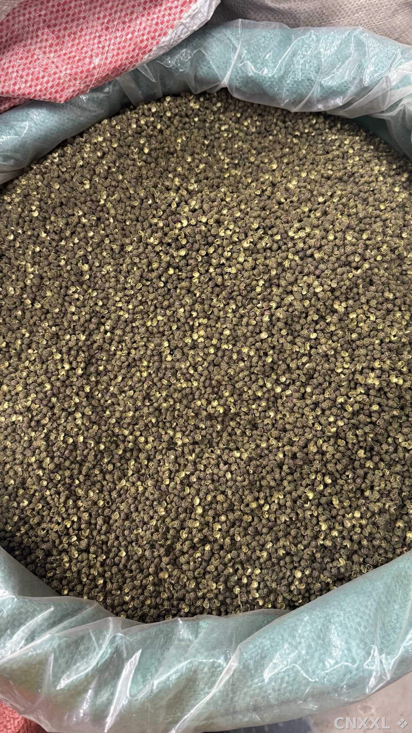 spice_11896_b377d9f9_3.jpg