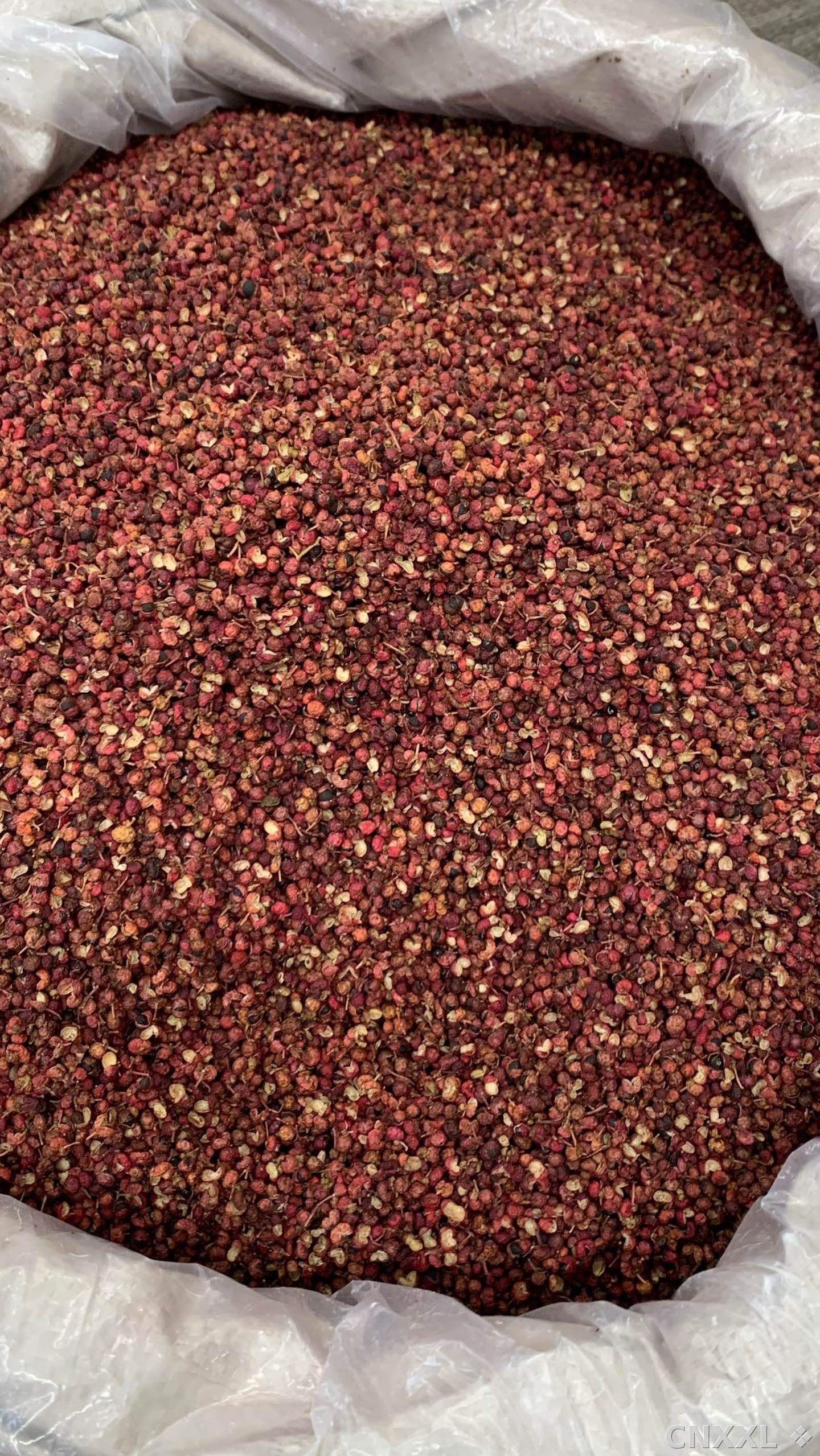 spice_11898_565f0336_3.jpg