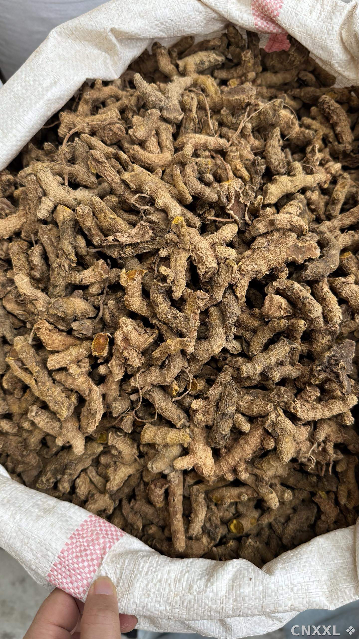 spice_11952_caed453f_3.jpg