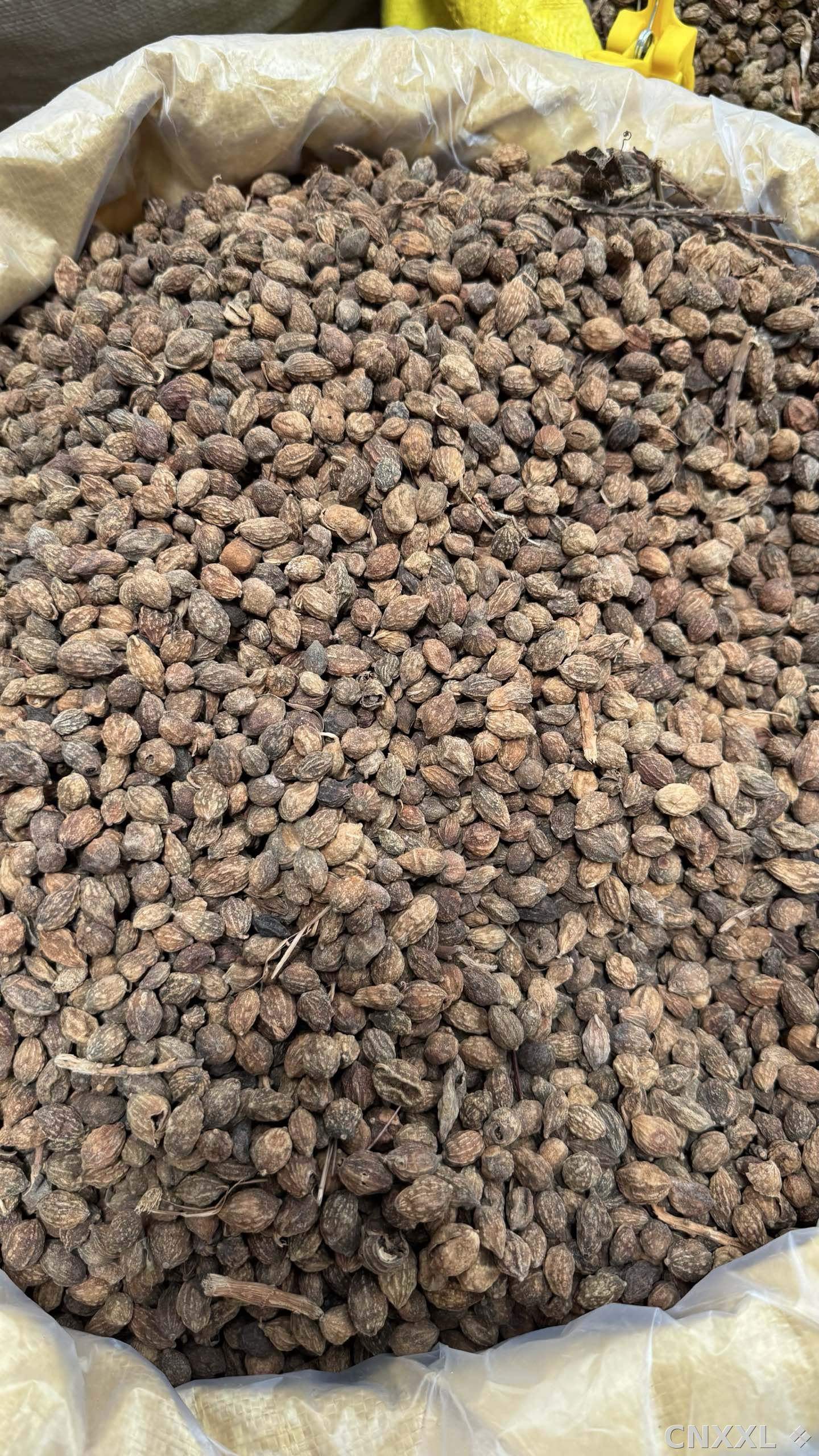 spice_11957_d2c4aa24_3.jpg