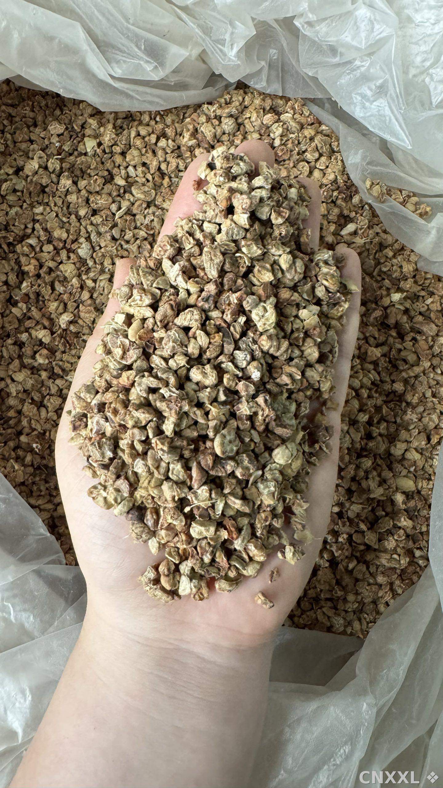 spice_11962_f6b6be9c_2.jpg