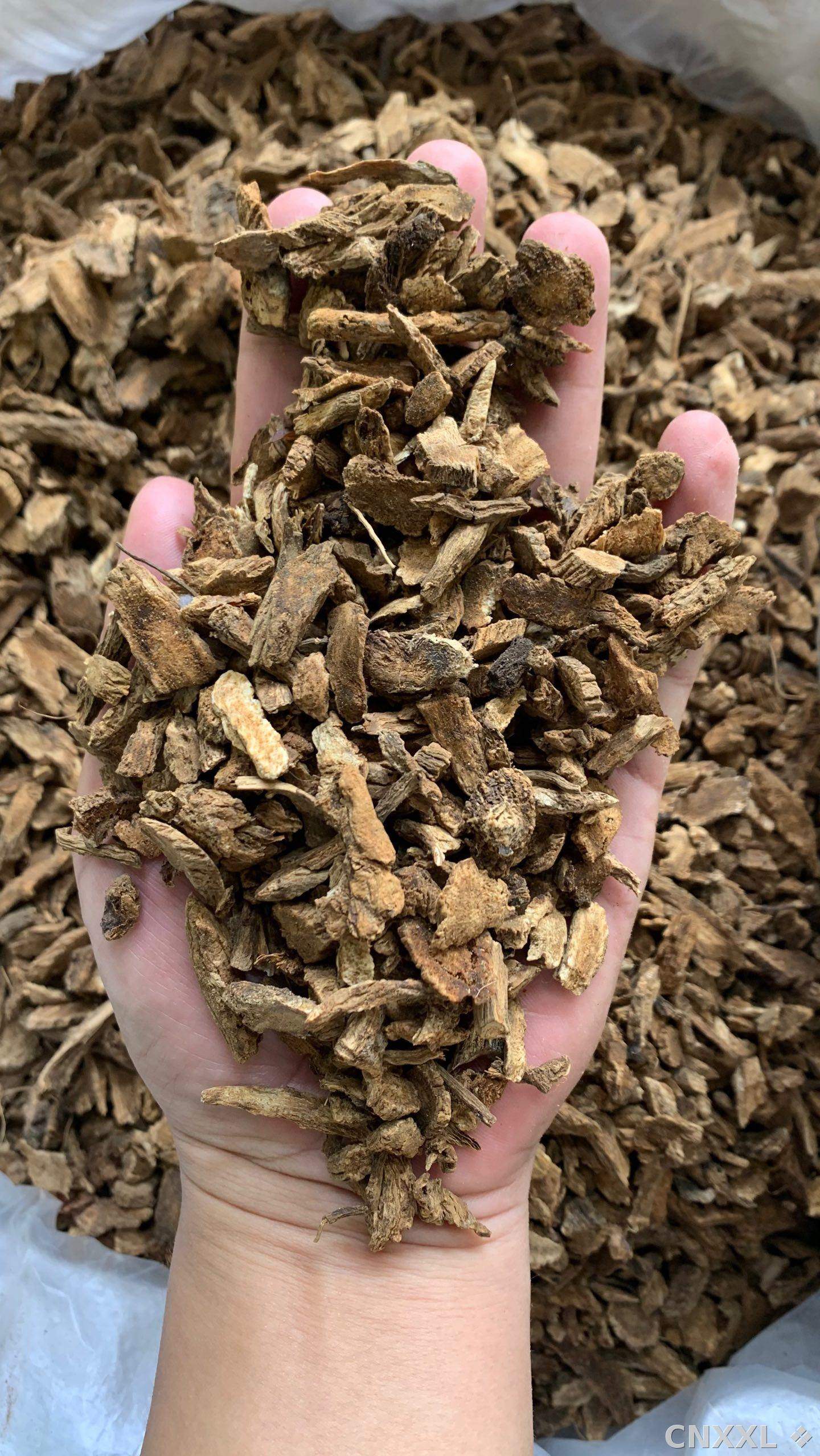 spice_12401_b8bb396e_1.jpg
