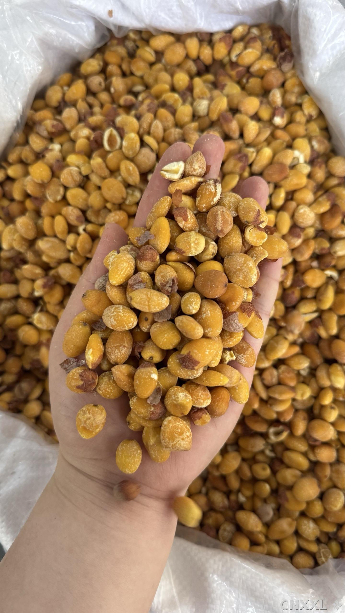 spice_12436_9b413fa4_1.jpg