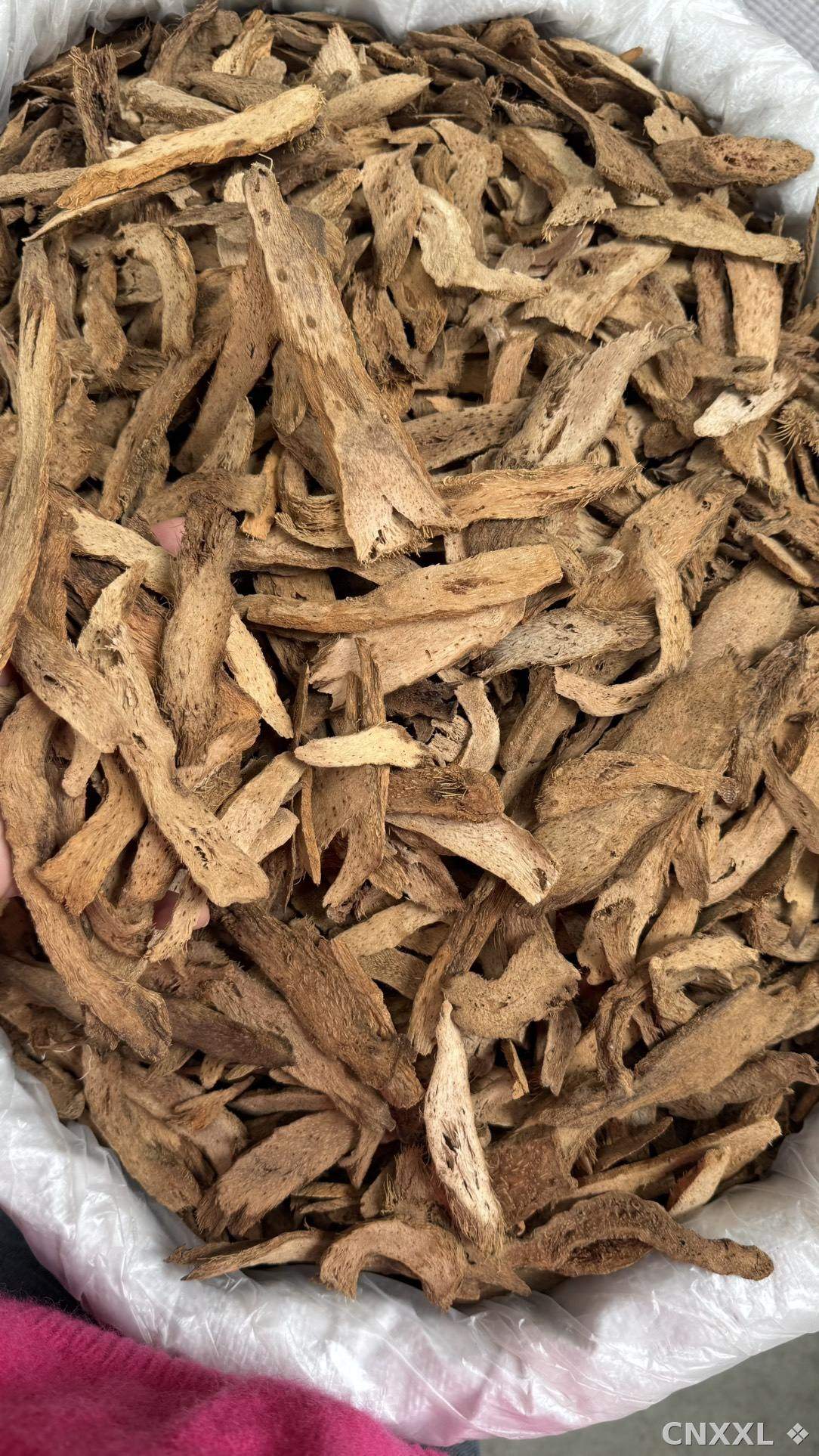 spice_12441_c7e7395e_3.jpg
