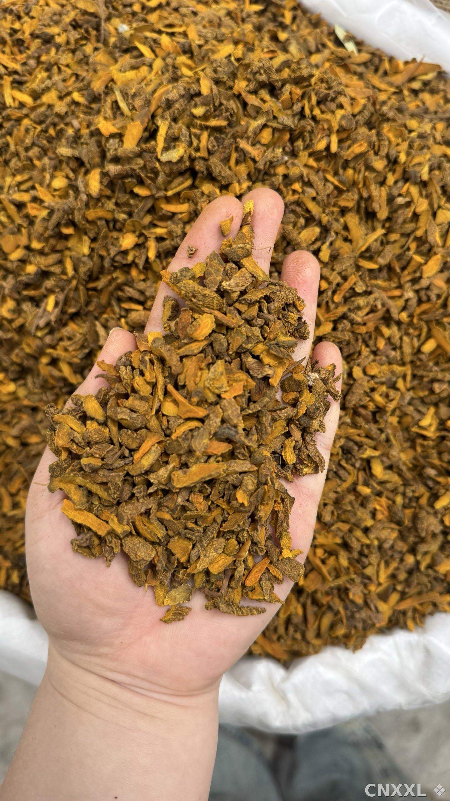 spice_12442_c16506da_1.jpg