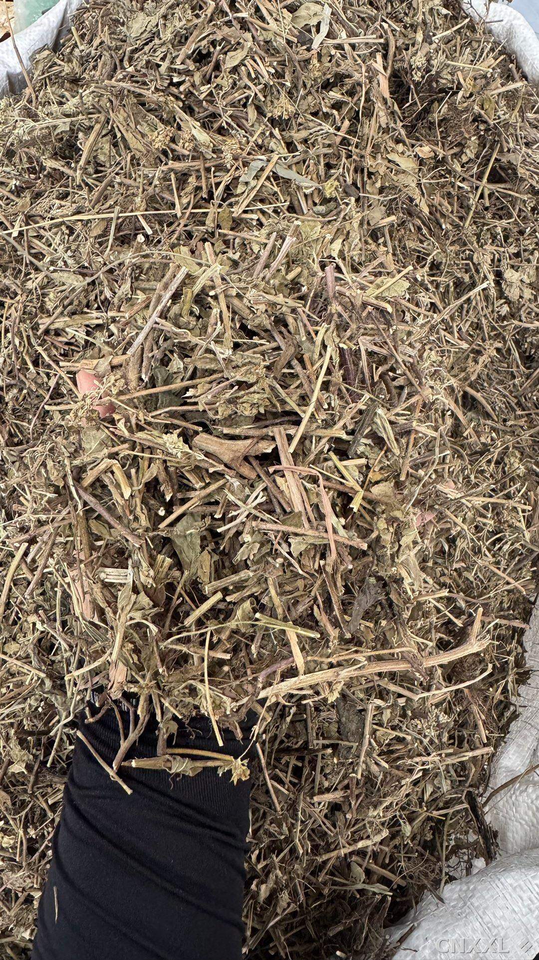 spice_12444_2e857662_2.jpg