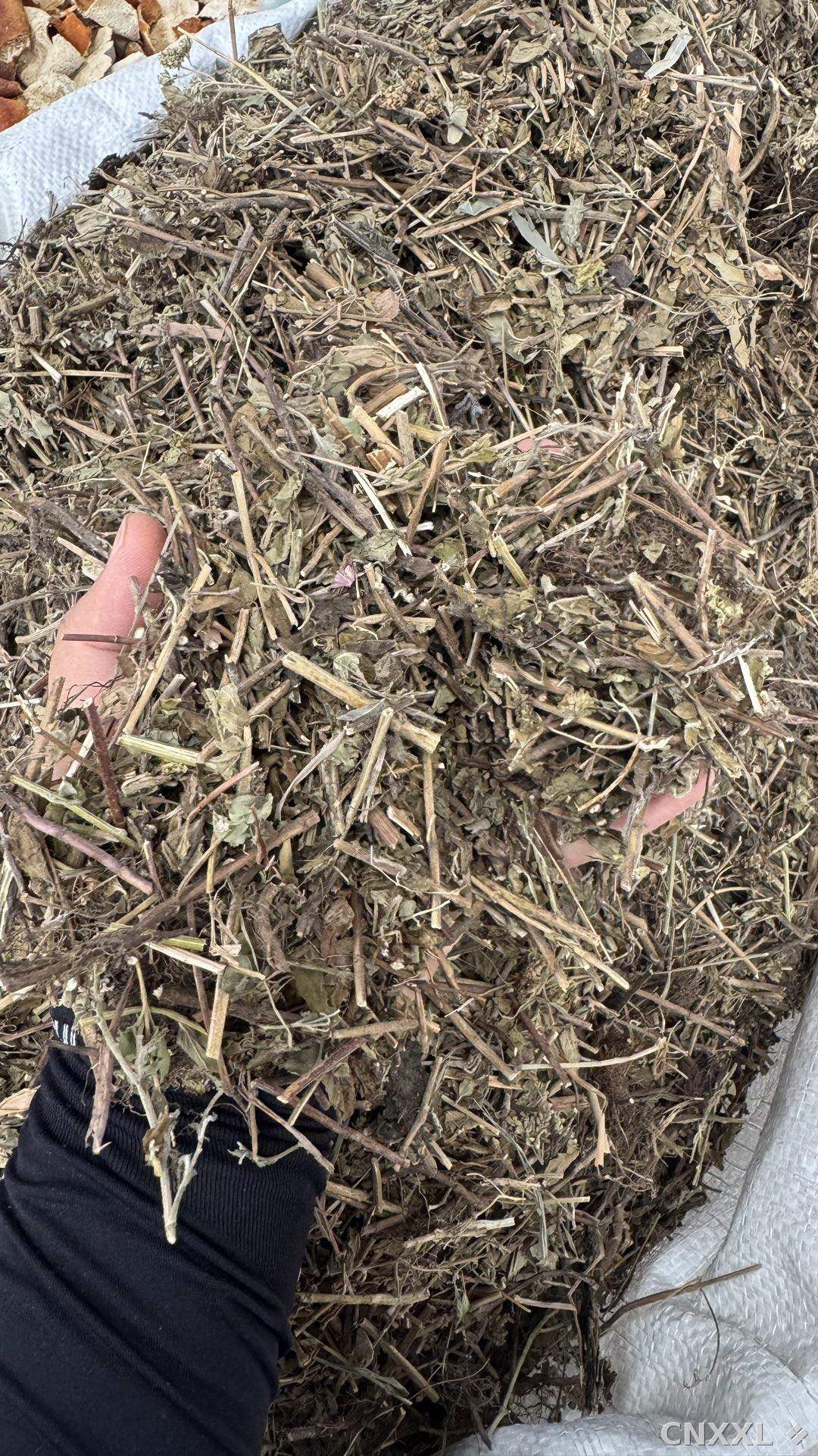 spice_12444_6c91573d_1.jpg