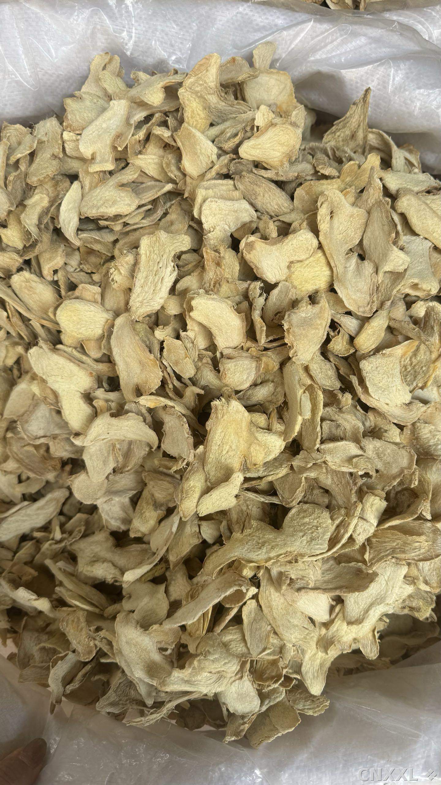 spice_12455_bd98528b_3.jpg