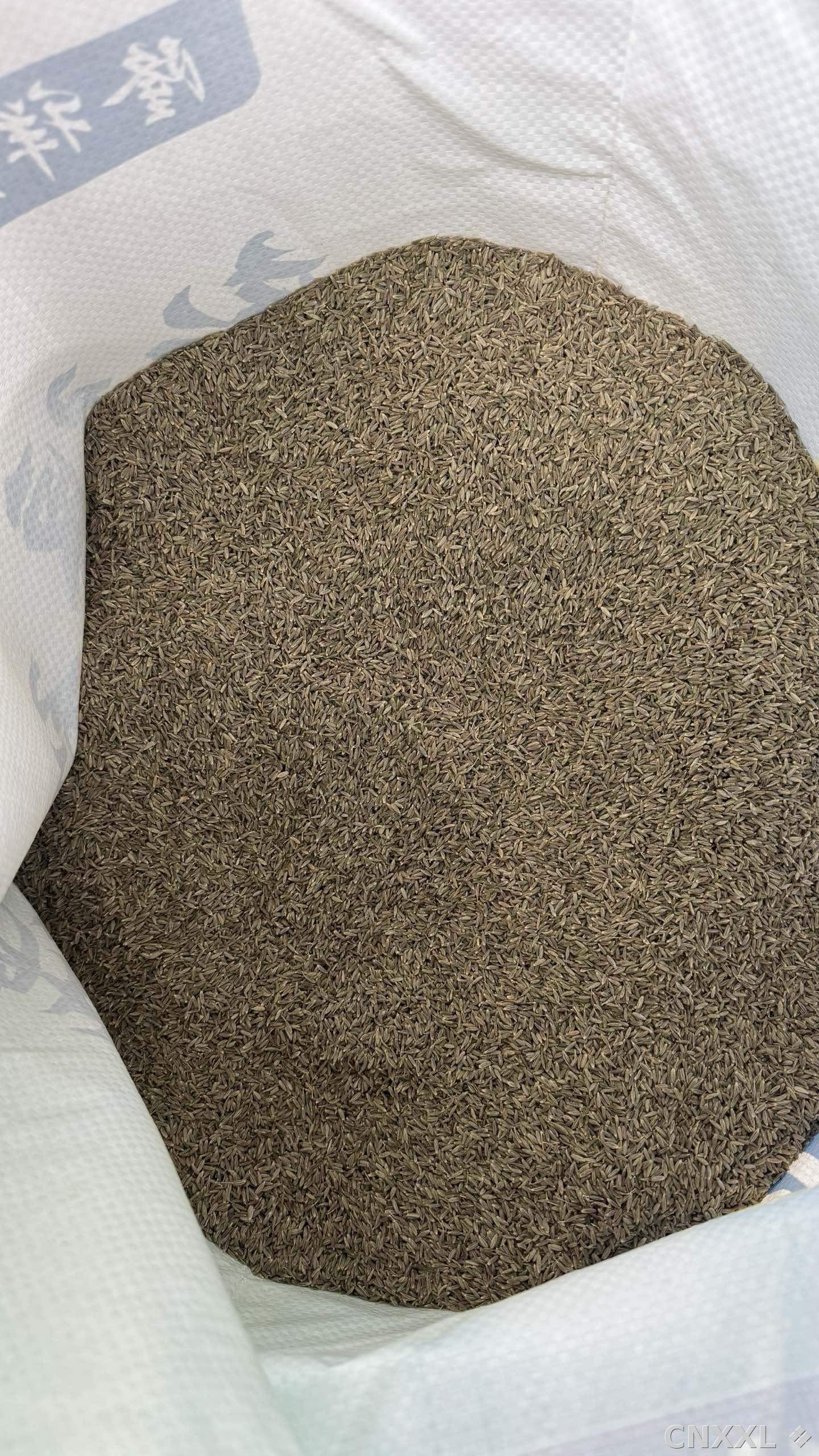 spice_1251634_af947d1b_2.jpg