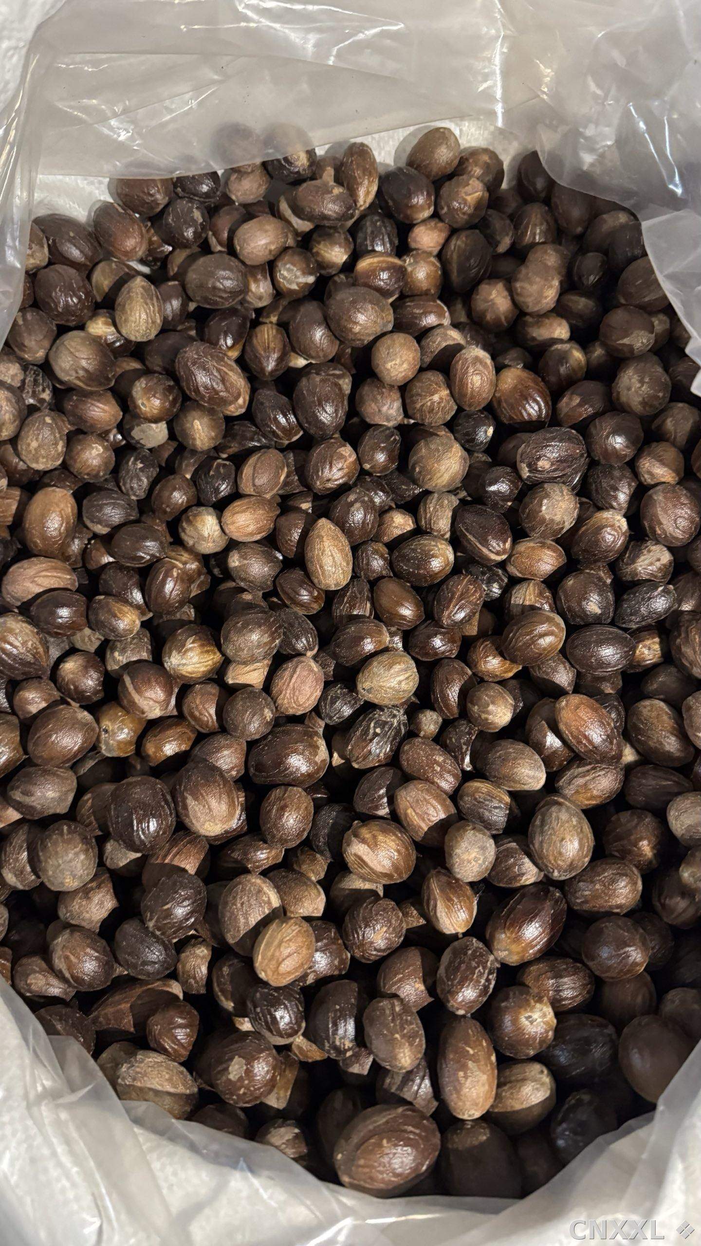 spice_12692_3938d6a3_3.jpg