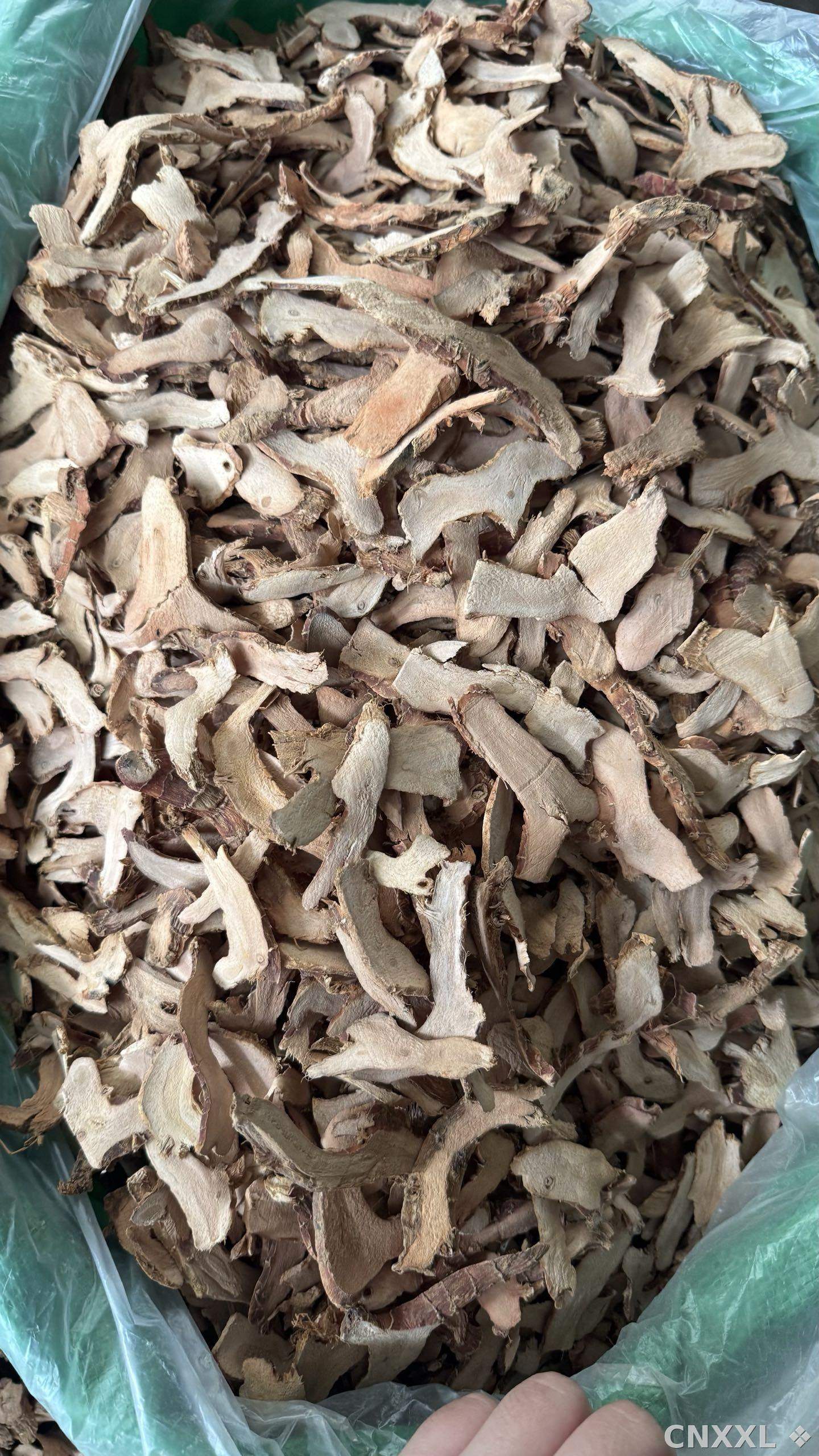 spice_12954_c7cd7d5b_3.jpg