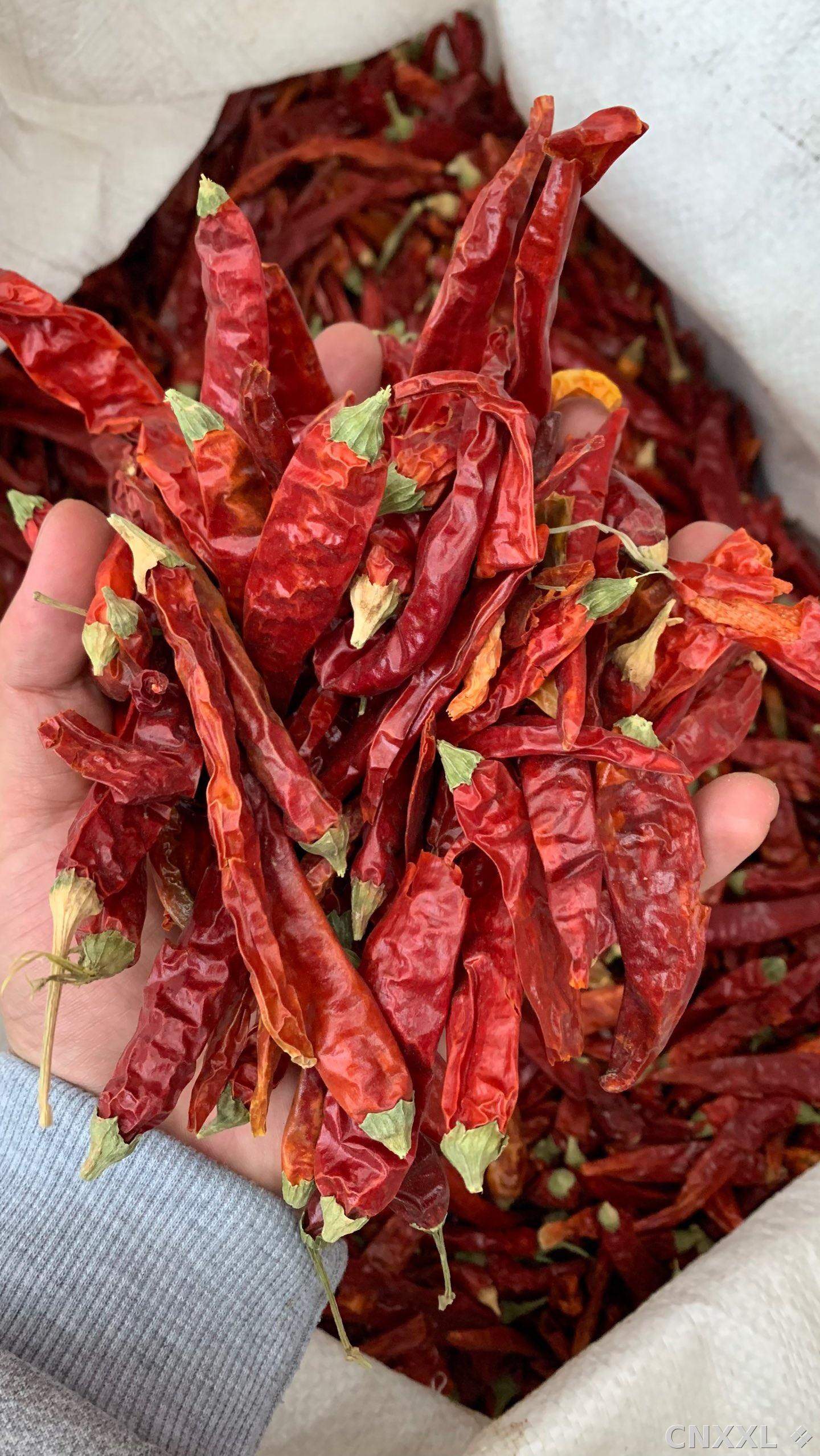spice_12991_af4e25d1_2.jpg