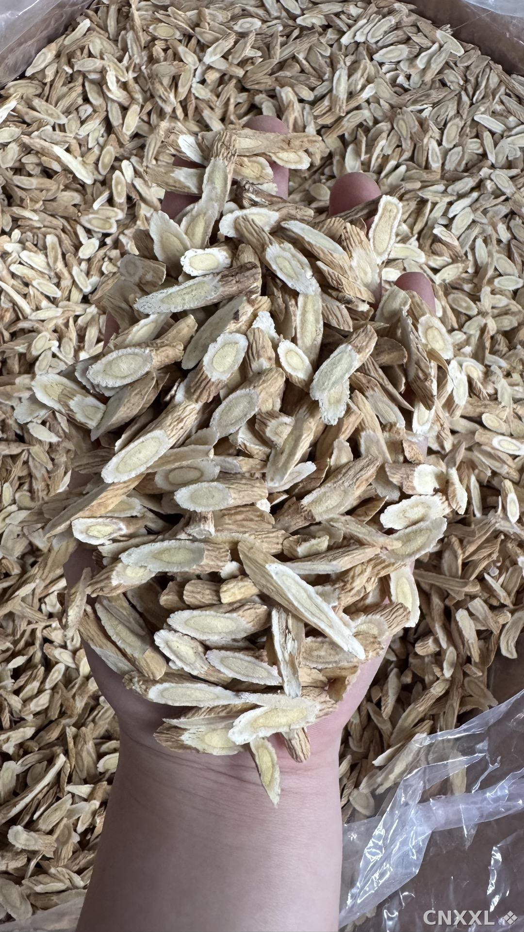 spice_12995_70ce0860_2.jpg