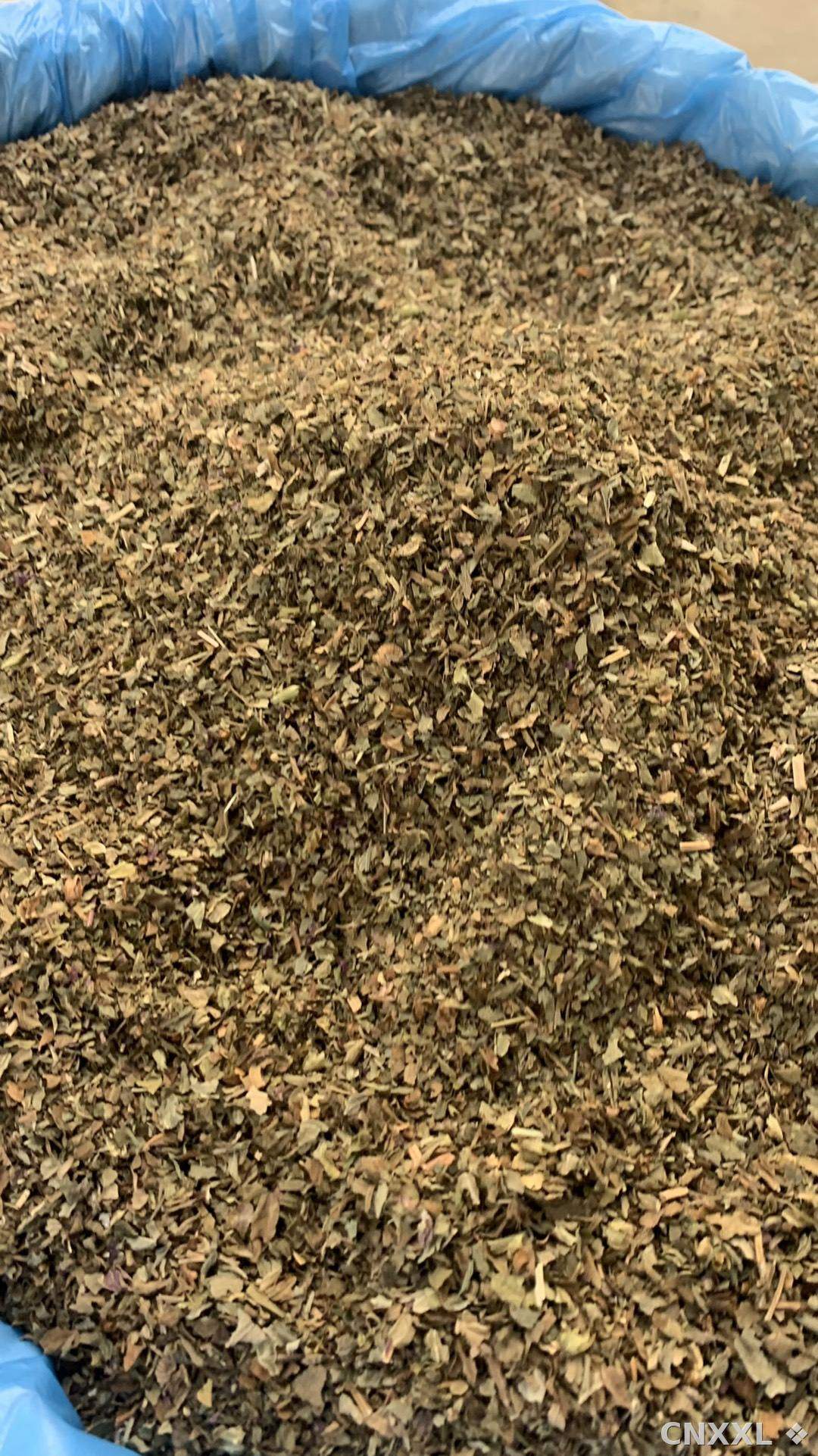 spice_13019_f24e31cb_3.jpg