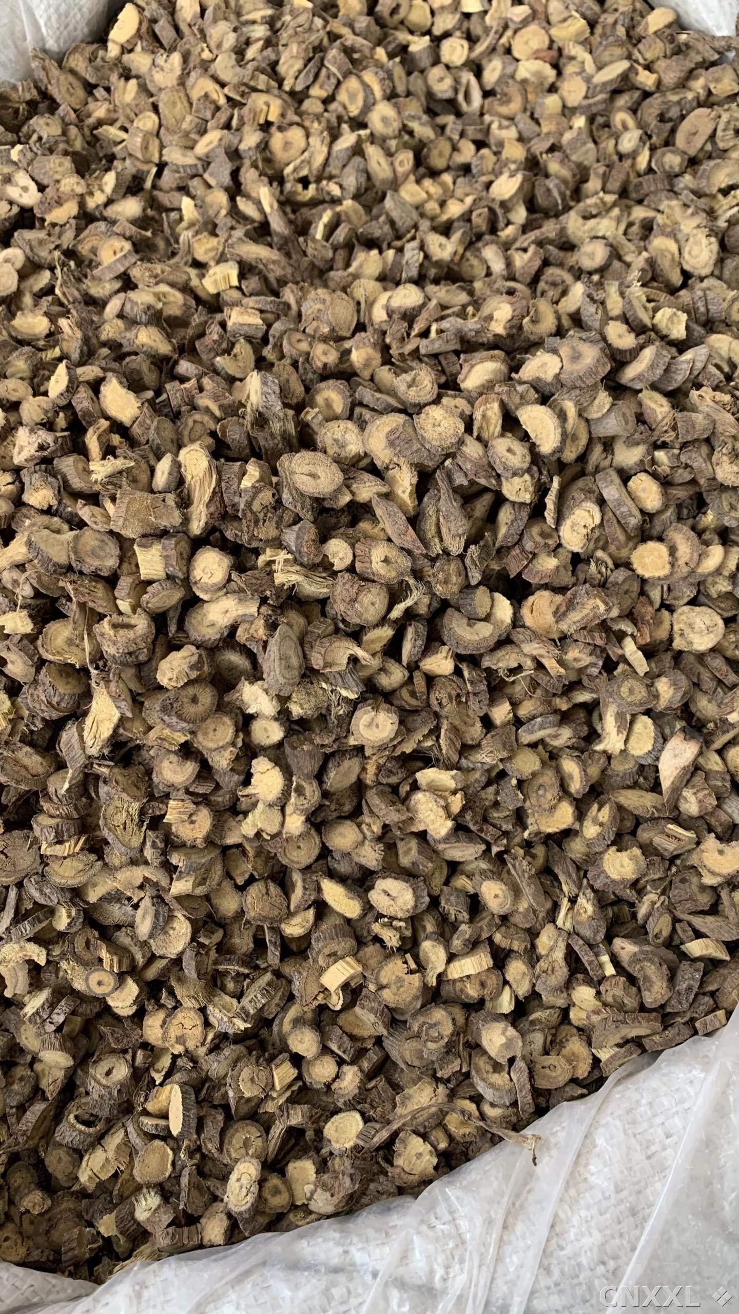 spice_13066_b19c79c9_3.jpg