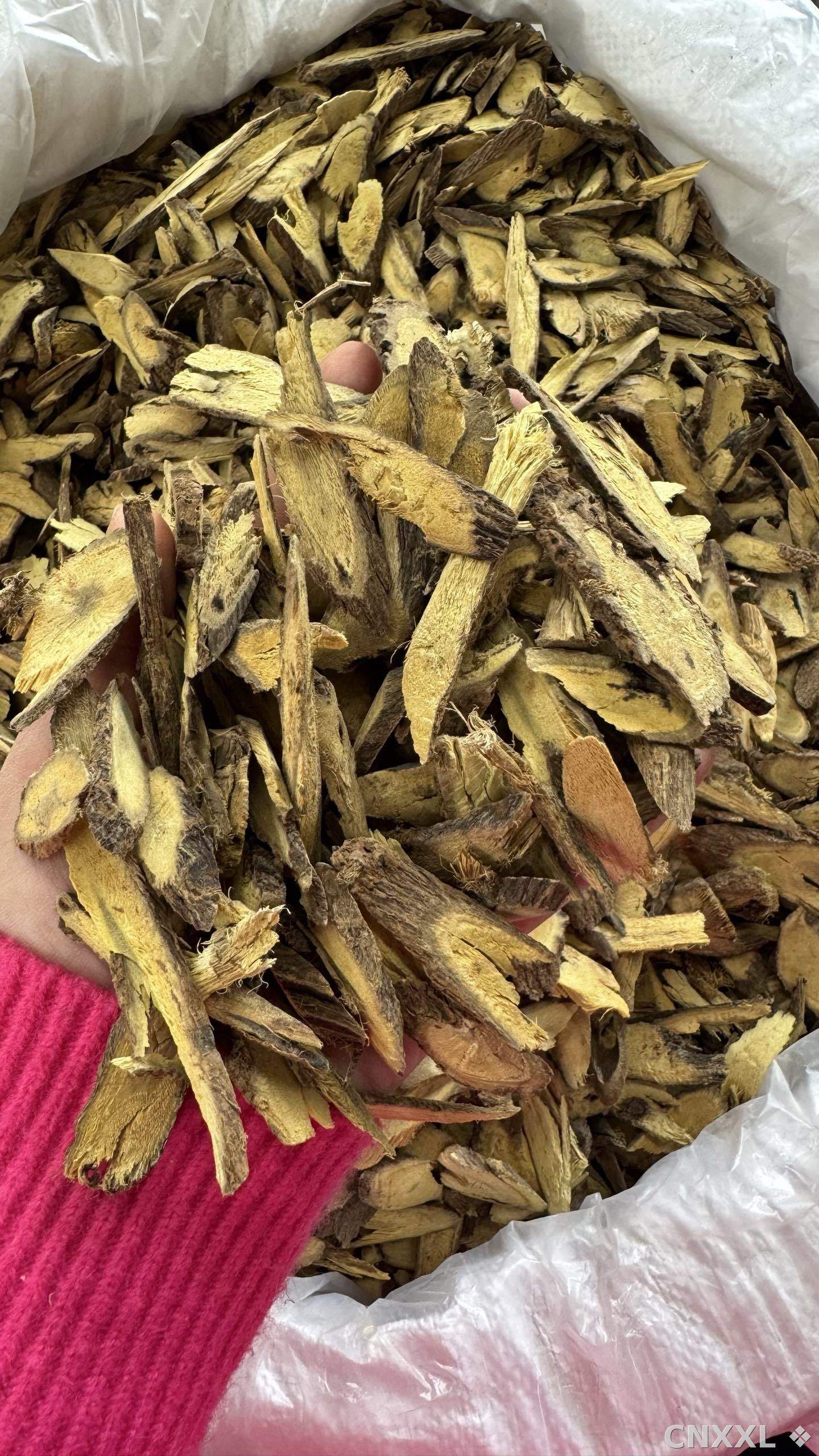 spice_13067_b6e03961_3.jpg