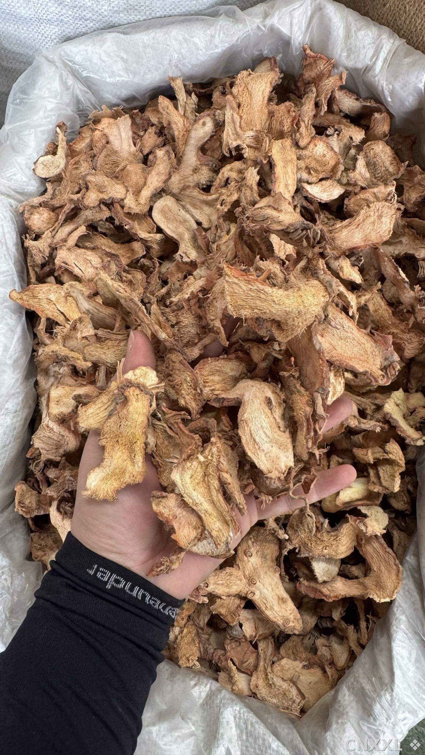 spice_13078_6c7f916e_1.jpg