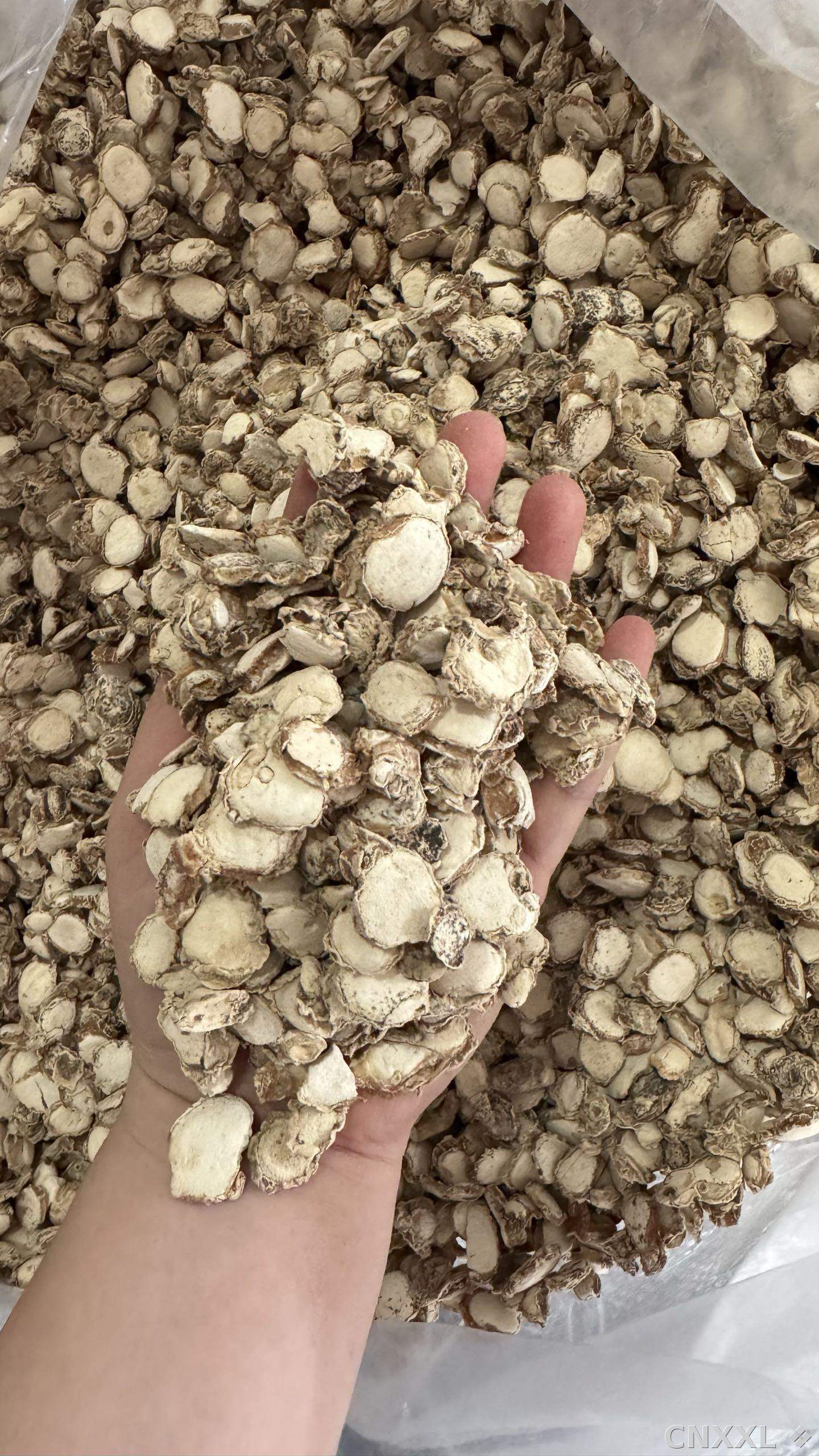 spice_13139_20c536ea_2.jpg