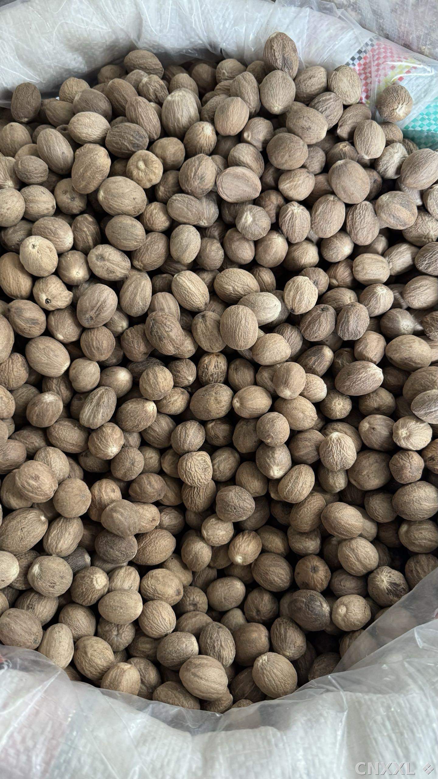 spice_13140_ba1a7814_3.jpg