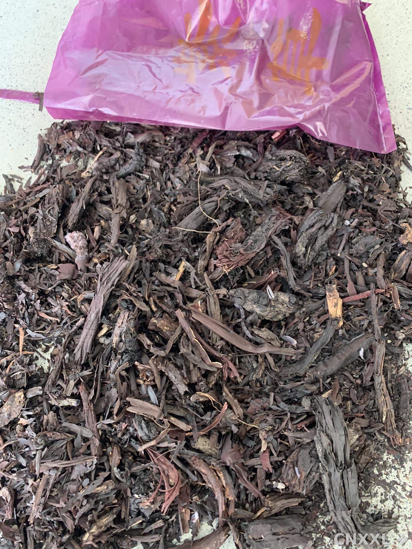 spice_13173_b2588d6e_3.jpg