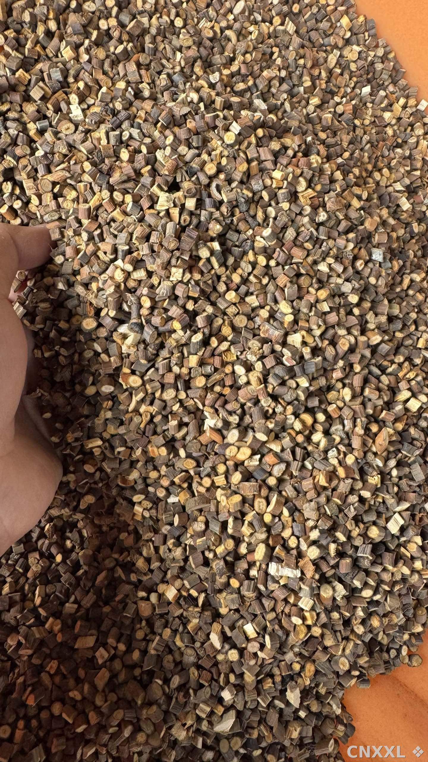 spice_13197_8f6e39f8_3.jpg