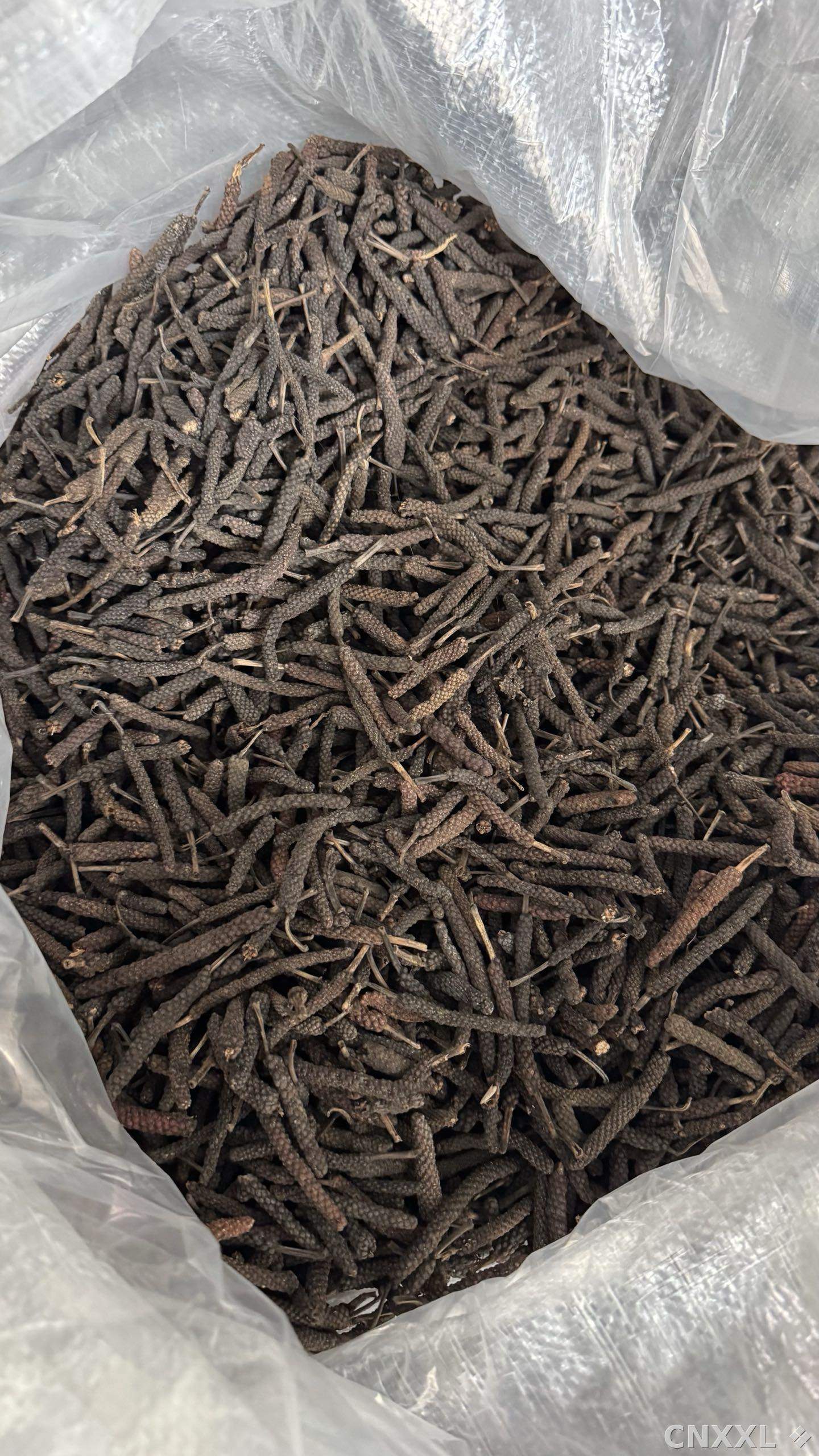 spice_13262_0b46fb86_3.jpg