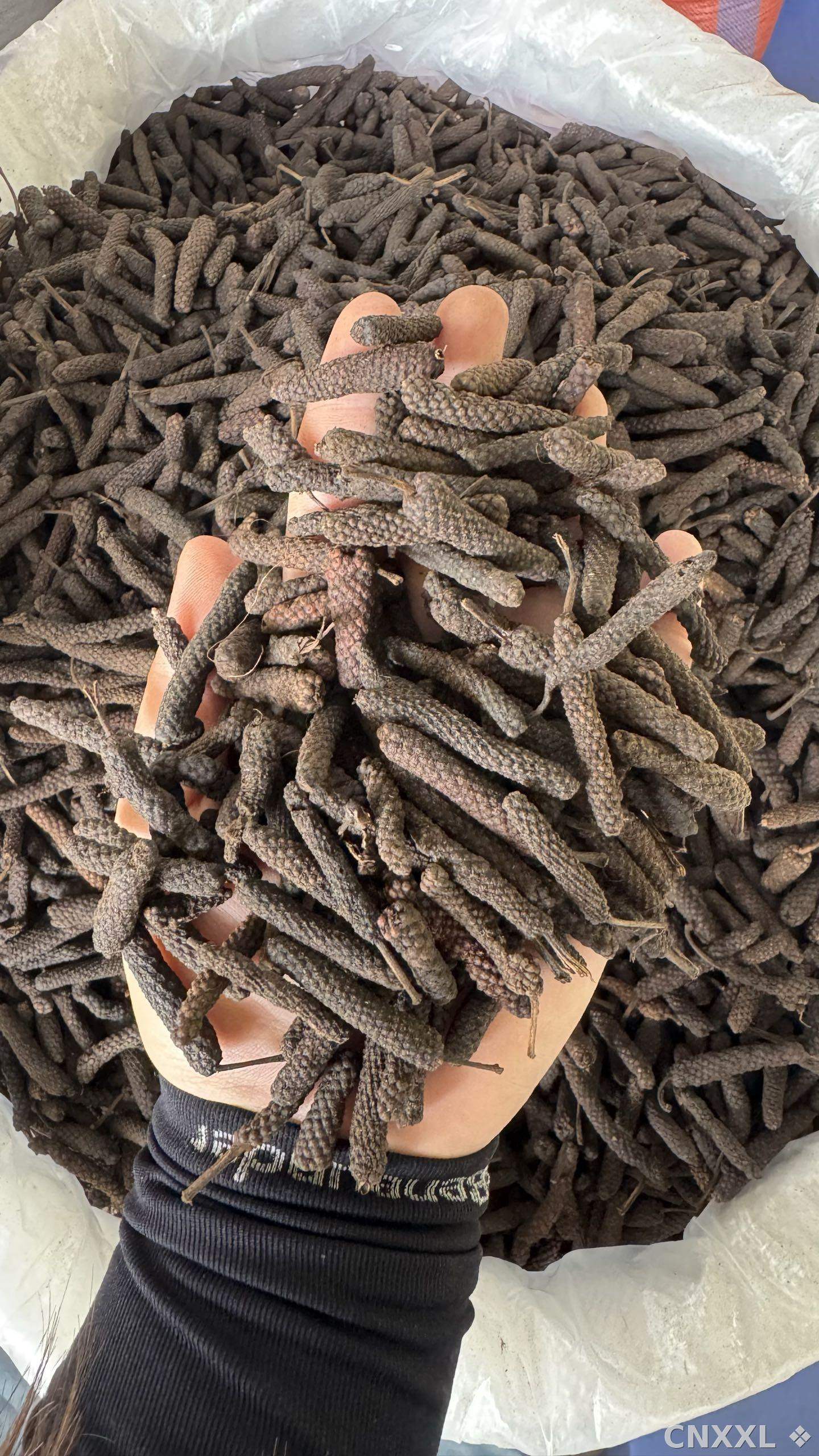 spice_13265_c3a2d0b8_2.jpg