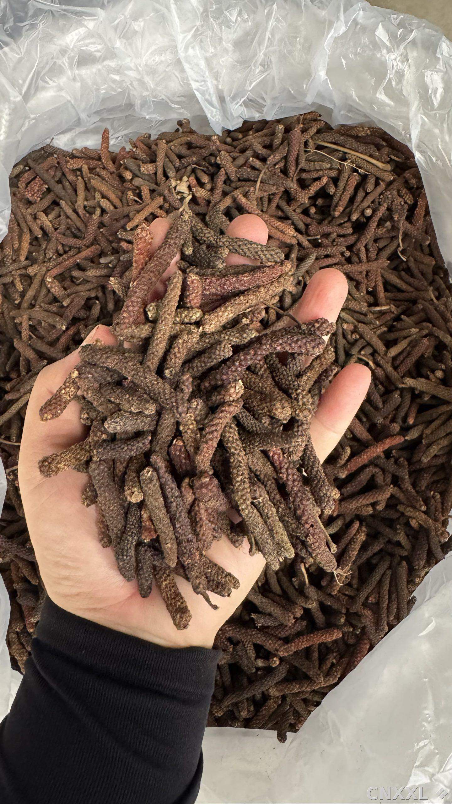 spice_1357143_9b61590d_2.jpg