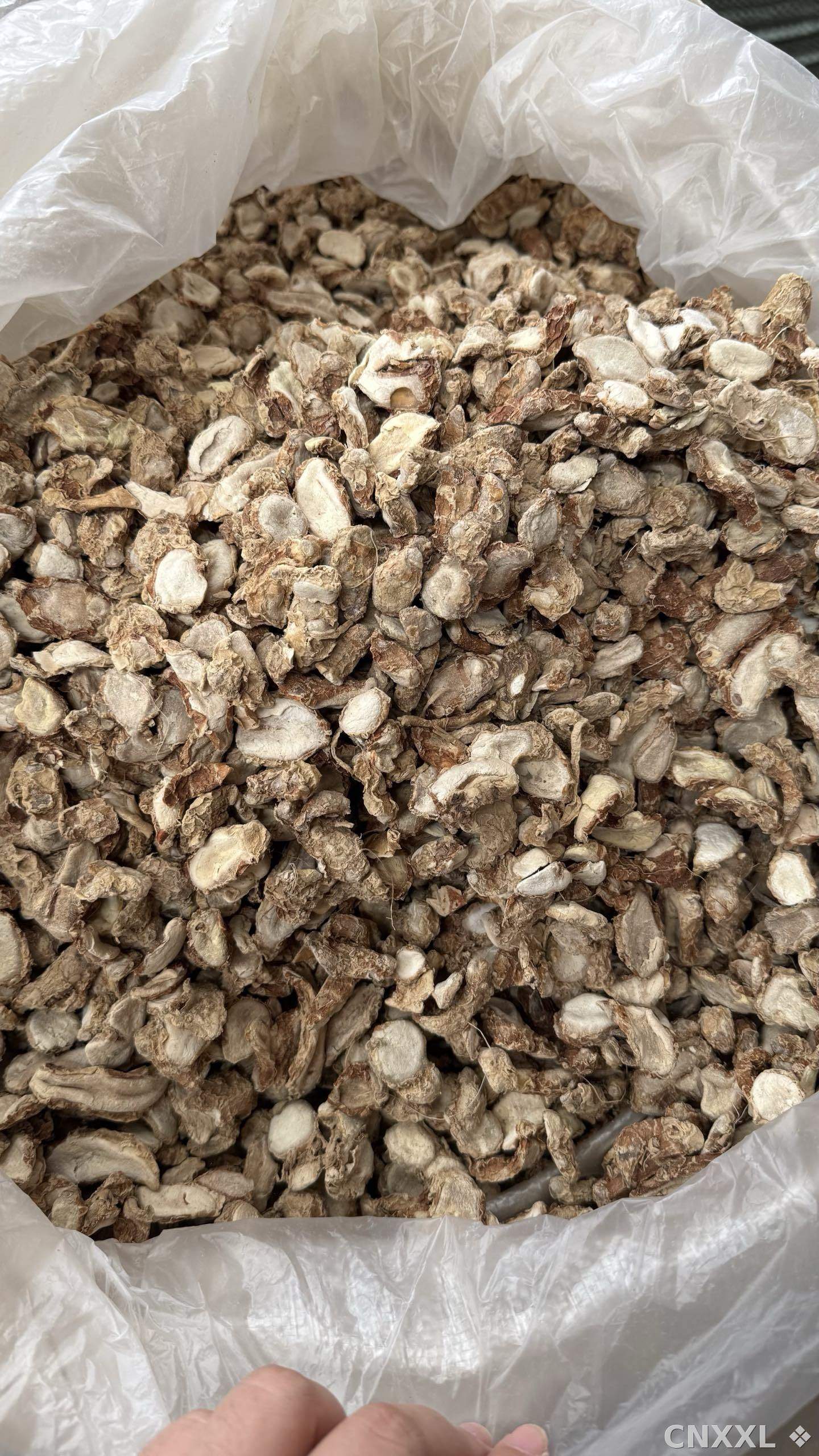 spice_13614_dd44cabf_3.jpg