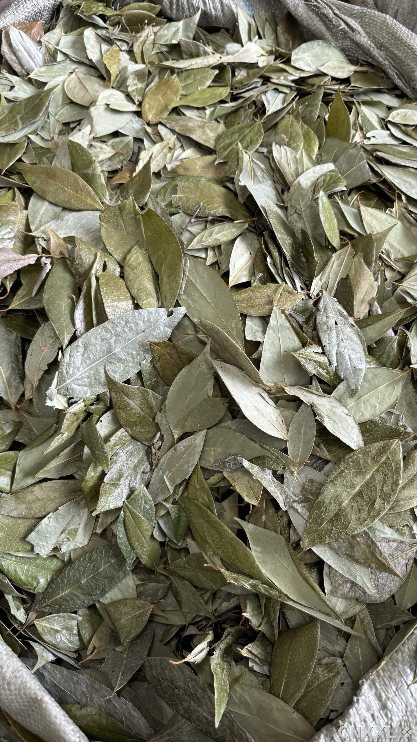 spice_1362179_f6a9ca2f_3.jpg
