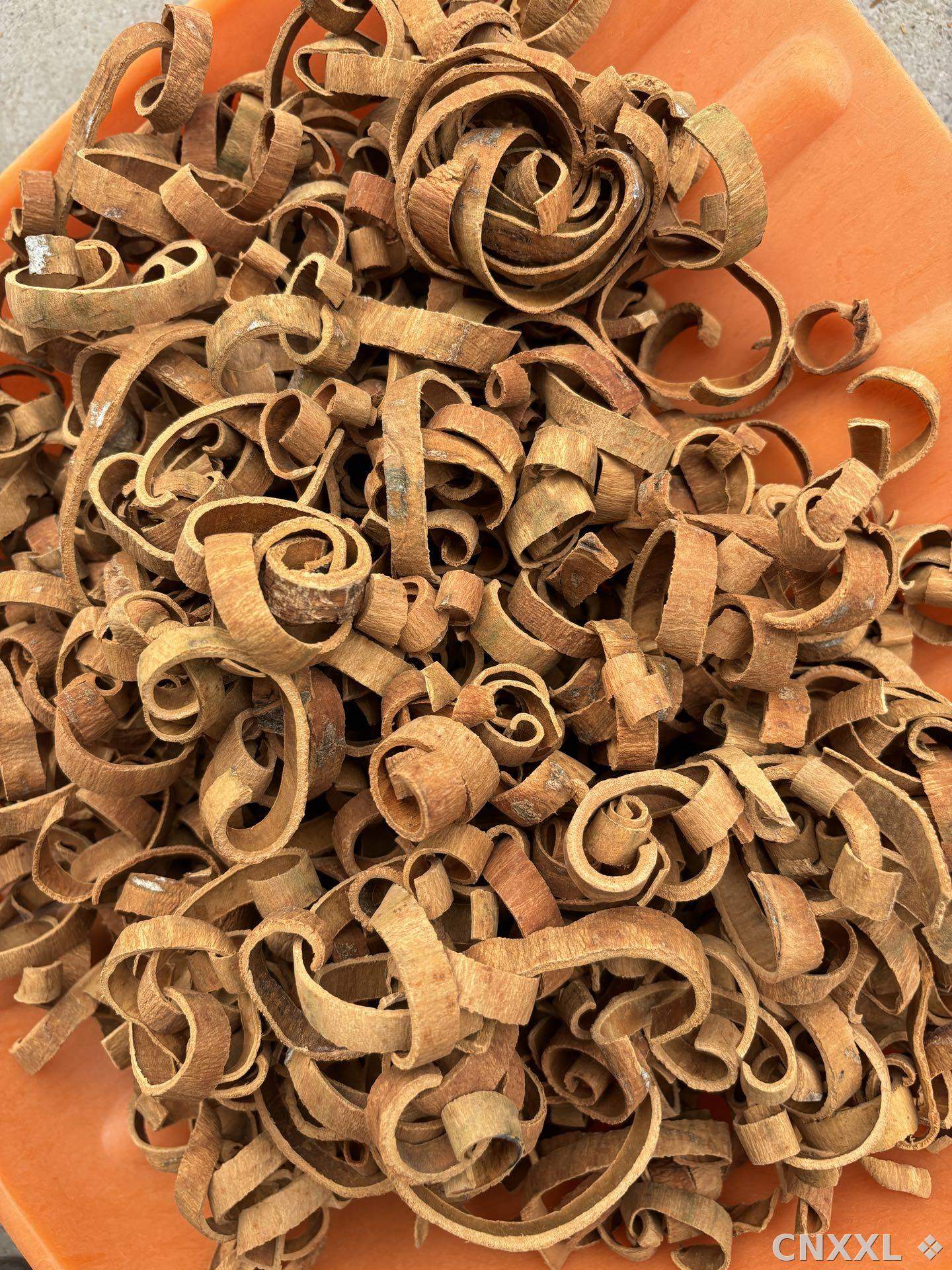 spice_13631_bc16aac6_1.jpg
