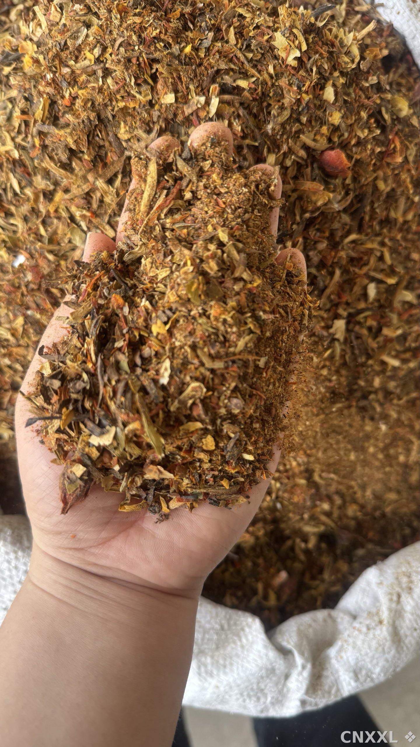 spice_13641_5de65c3f_2.jpg